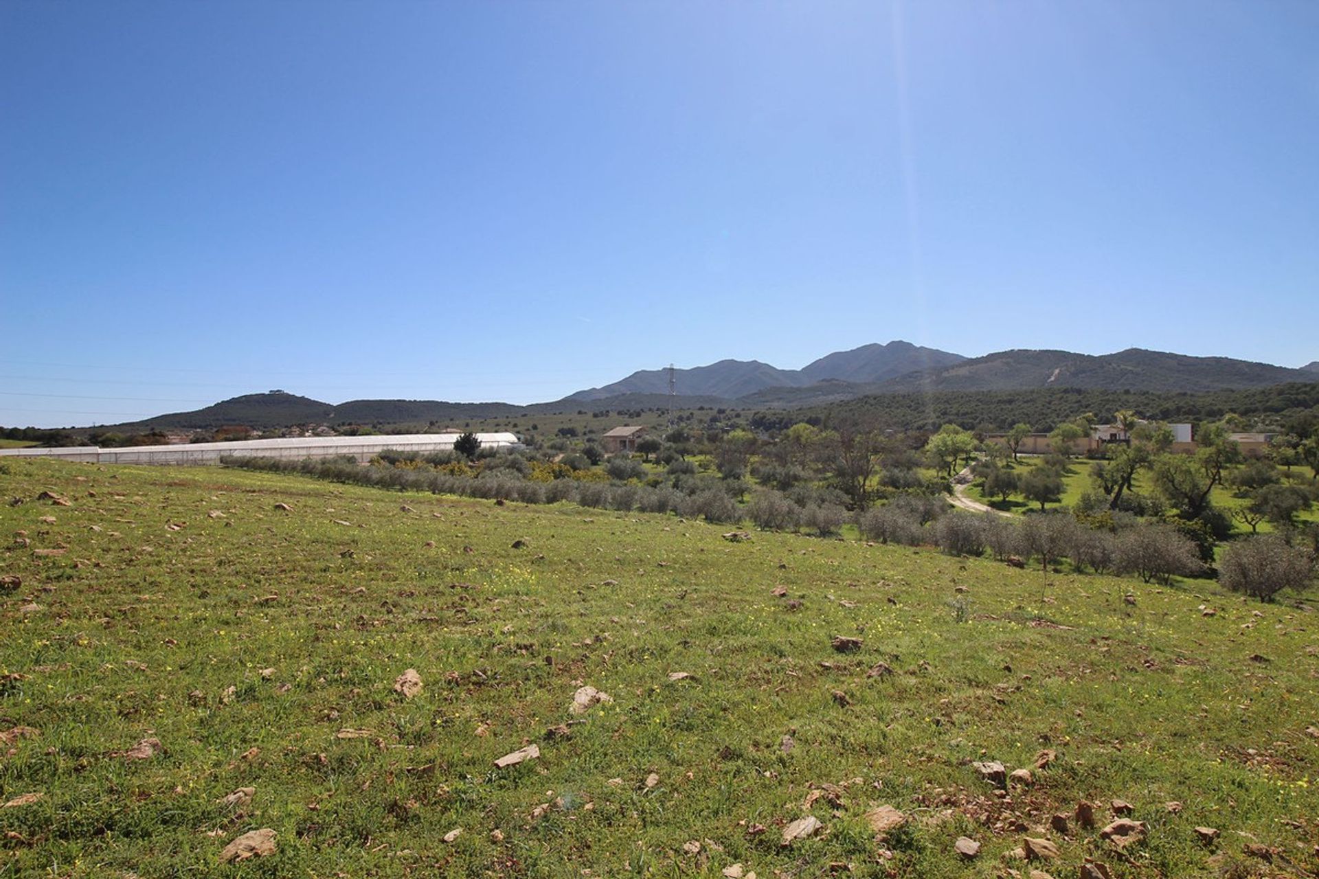 casa en Coín, Andalusia 12283640