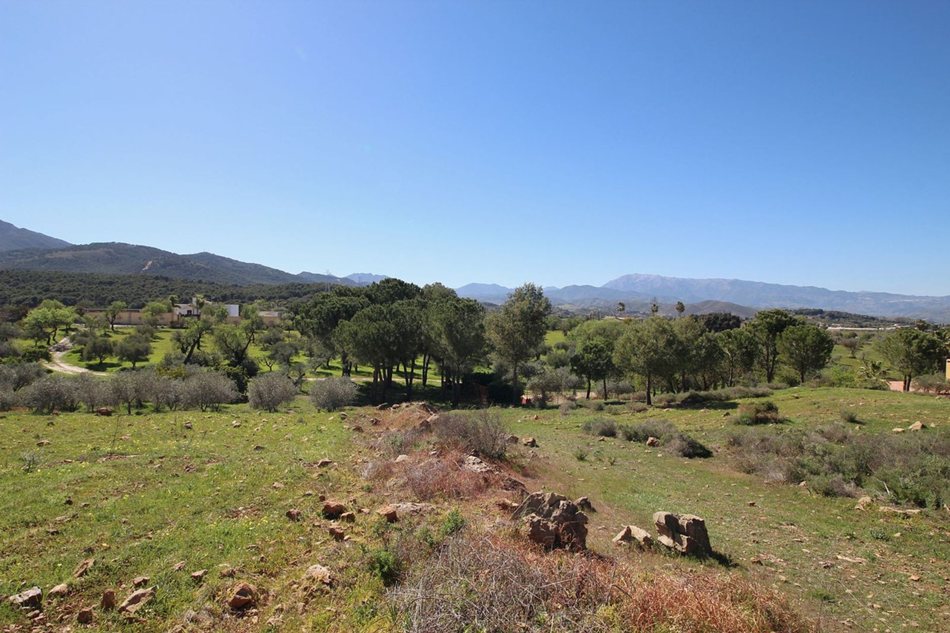 casa en Coín, Andalusia 12283640