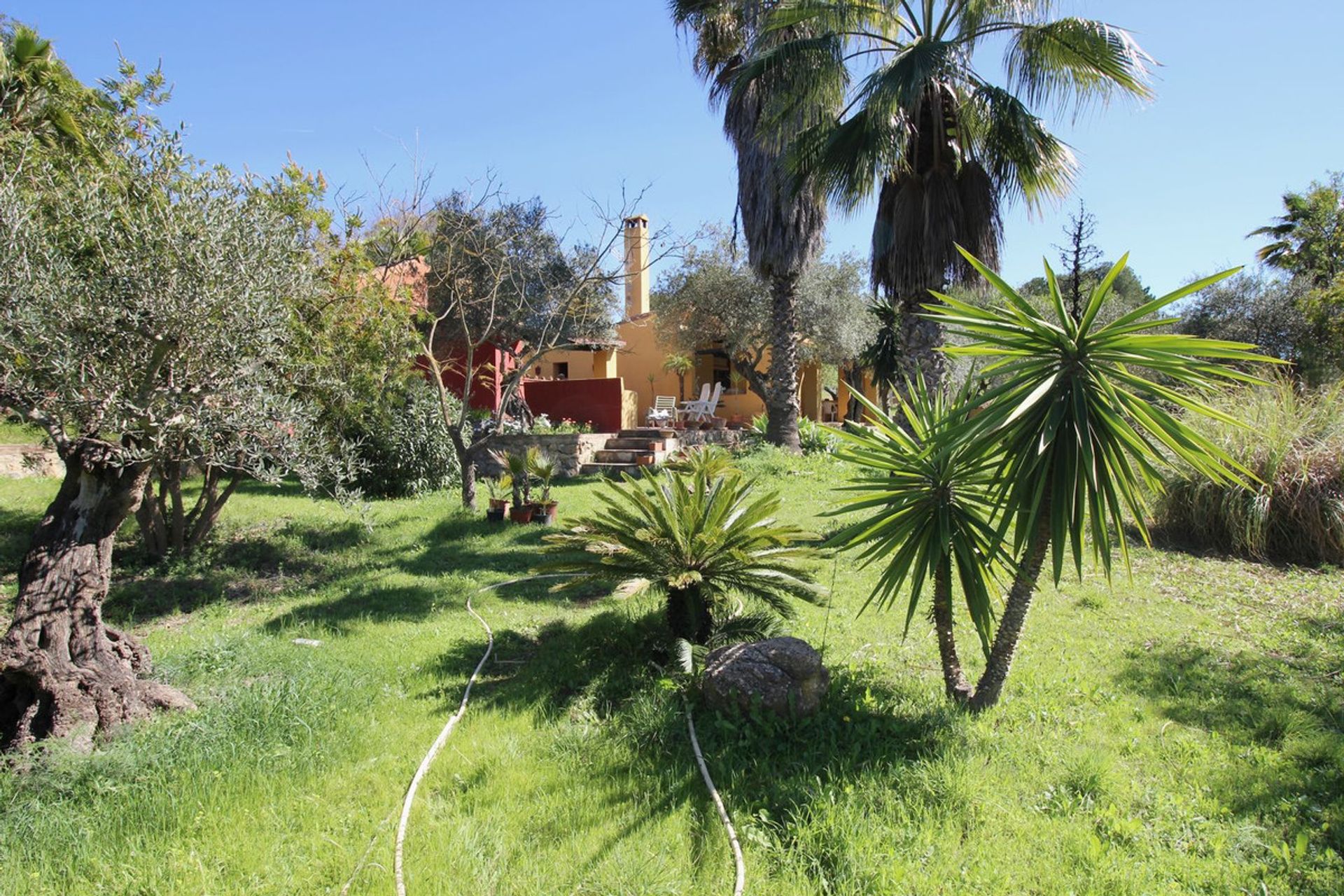 casa en Coín, Andalusia 12283640