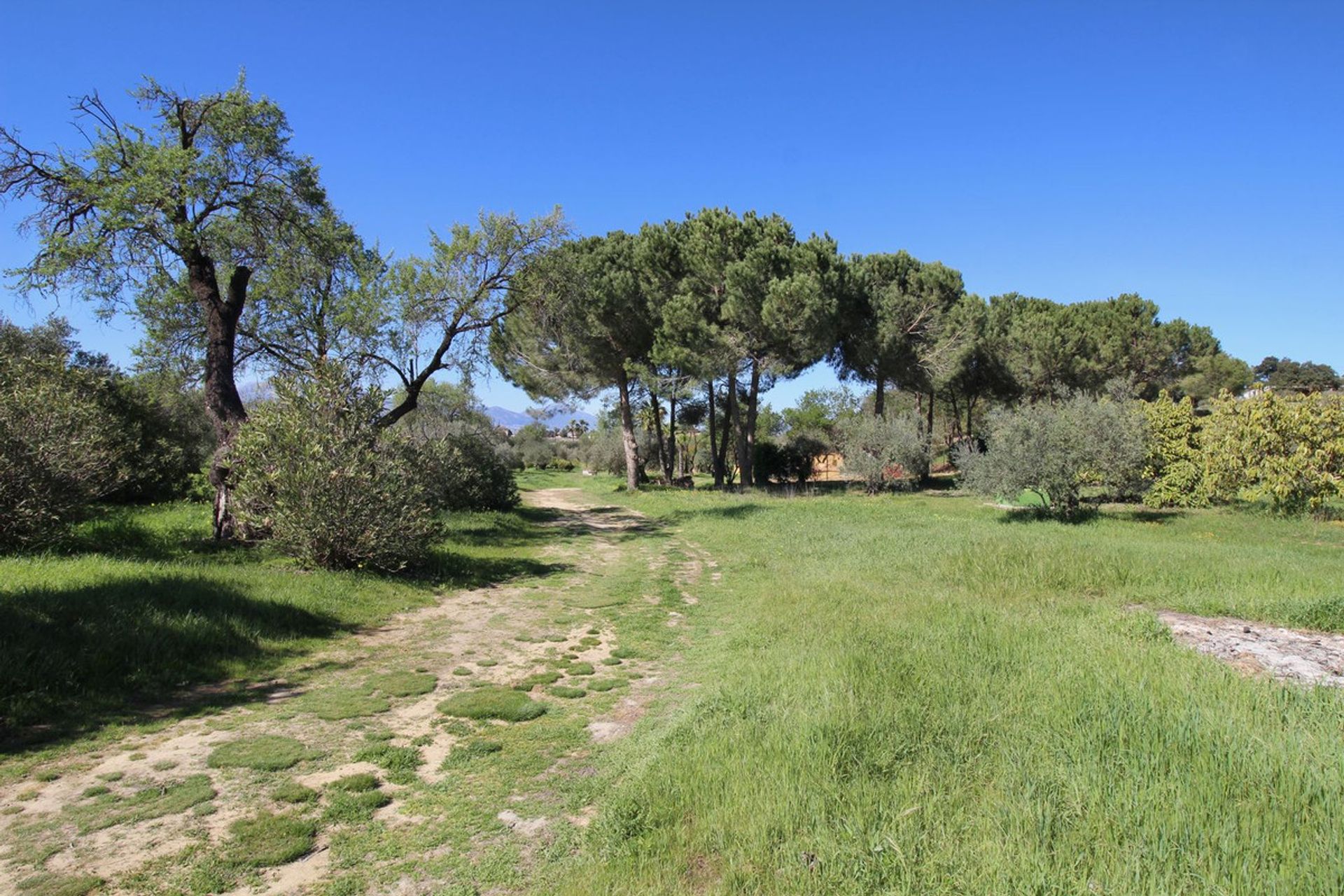 casa en Coín, Andalusia 12283640