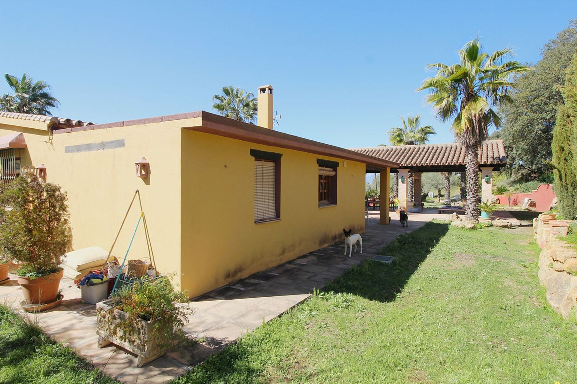 casa en Coín, Andalusia 12283640