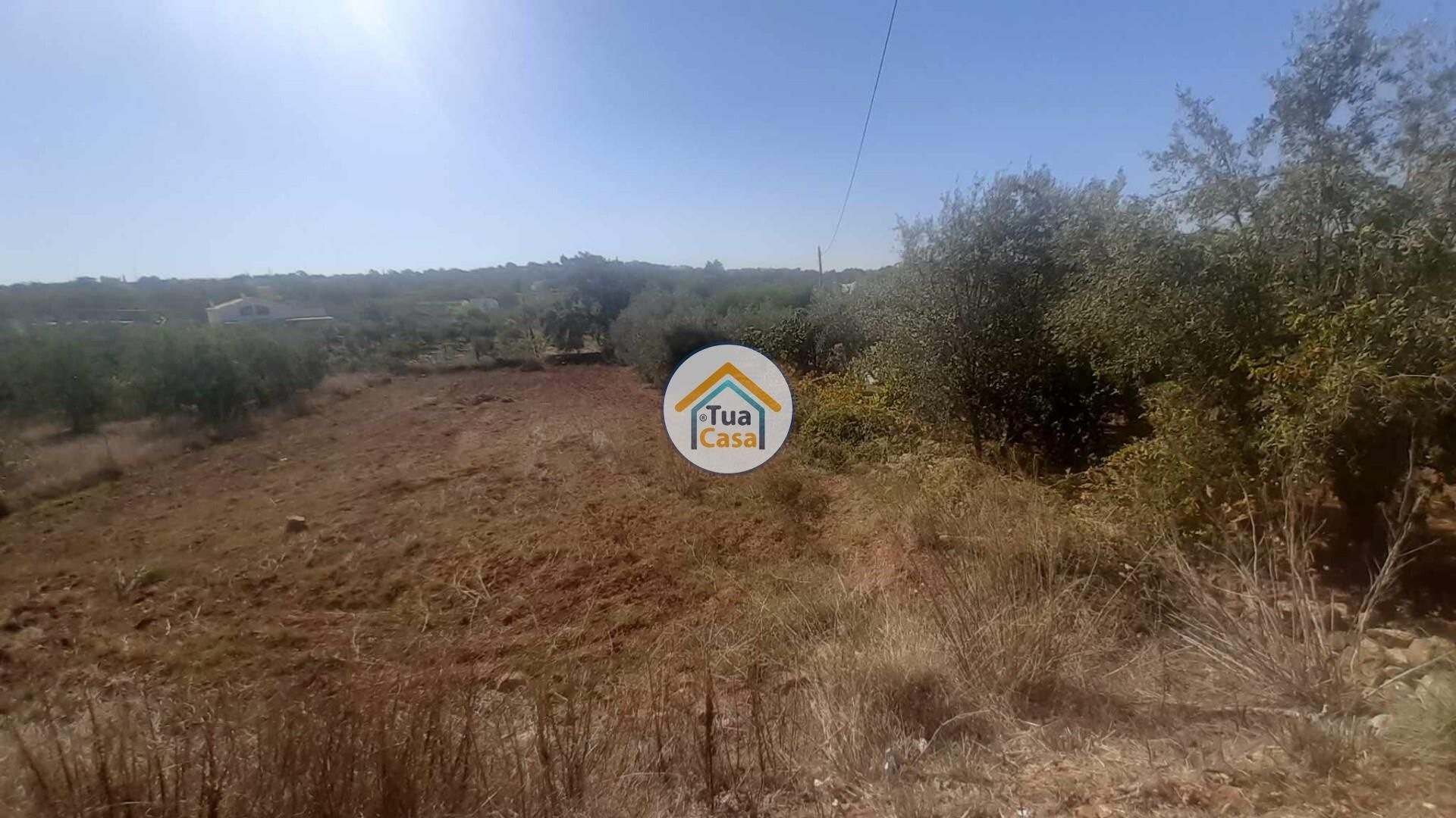 Land in São Brás de Alportel, Faro District 12285064