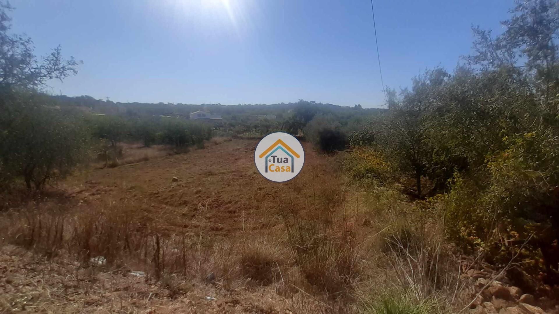 Land in São Brás de Alportel, Faro District 12285064