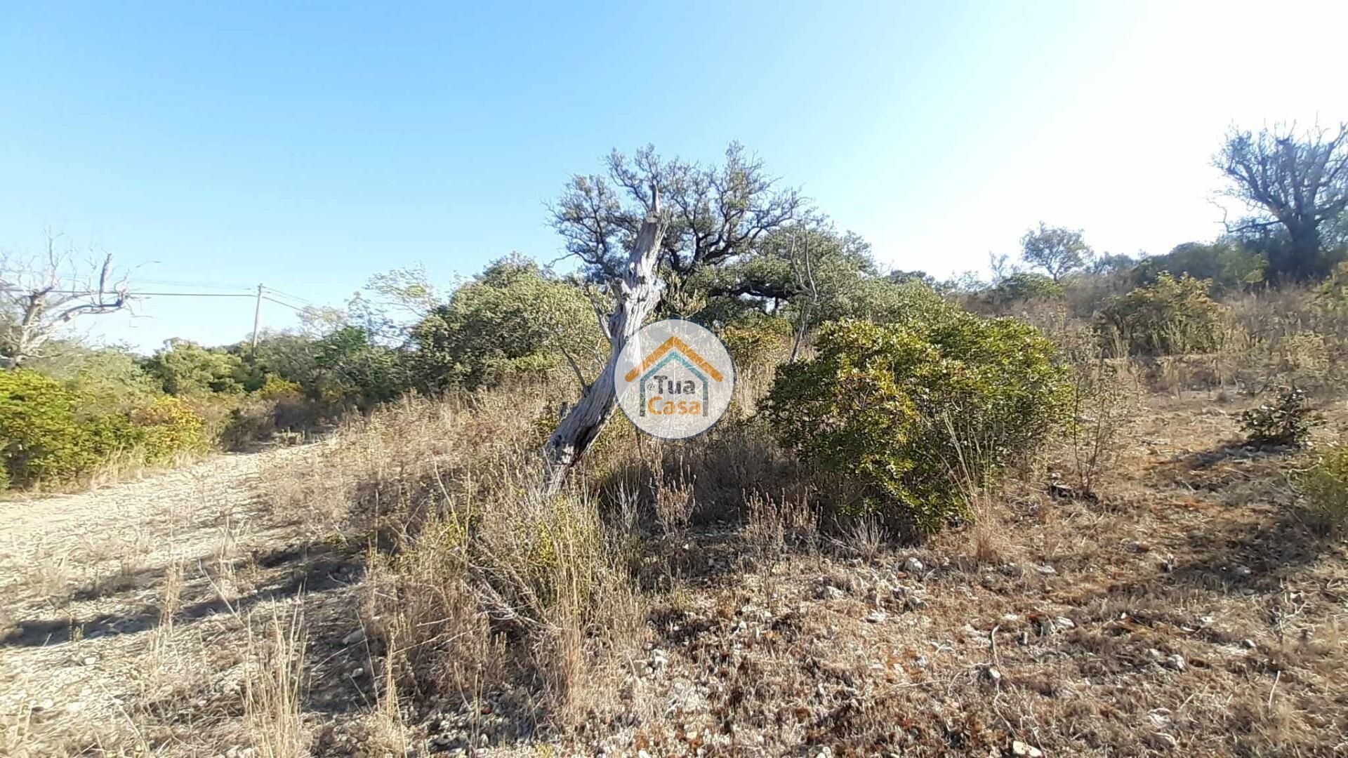 Tierra en Sao Brás de Alportel, Faraón 12285065