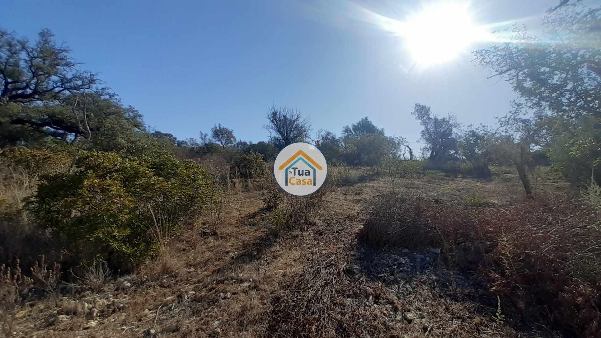 Land in São Brás de Alportel, Faro District 12285065