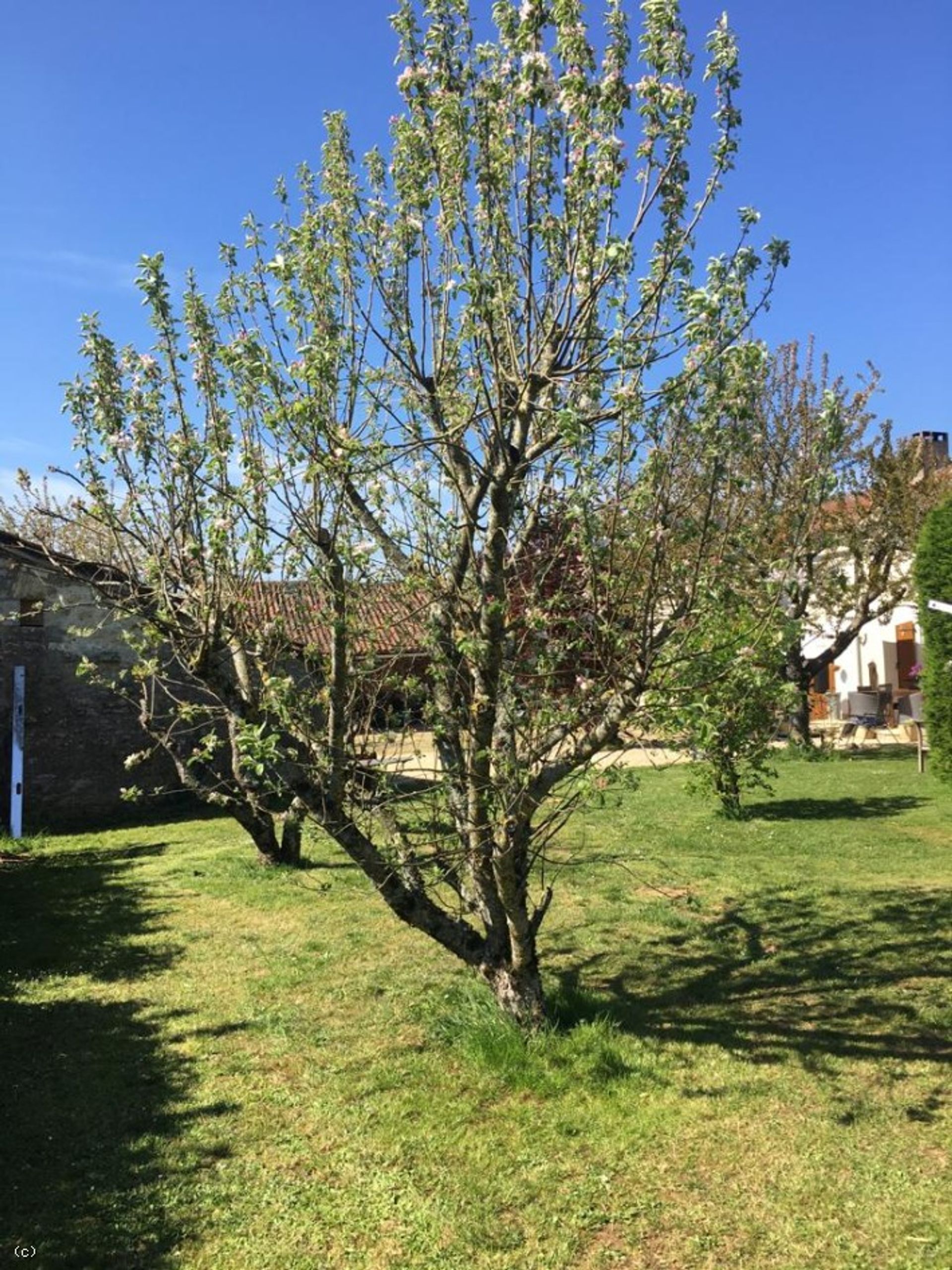 rumah dalam Lizant, Nouvelle-Aquitaine 12287448