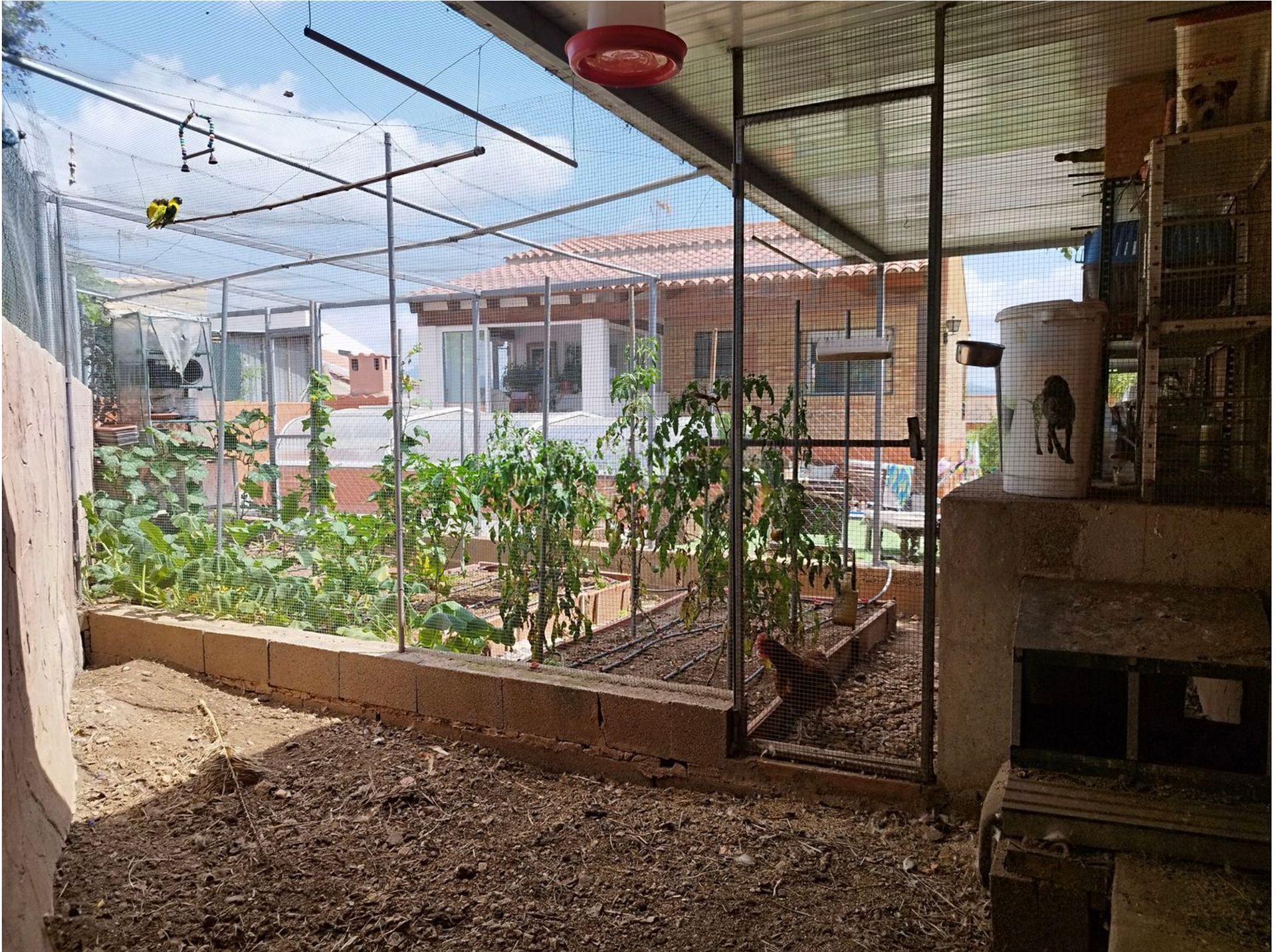 casa en Algar de Palancia, Valencian Community 12288031