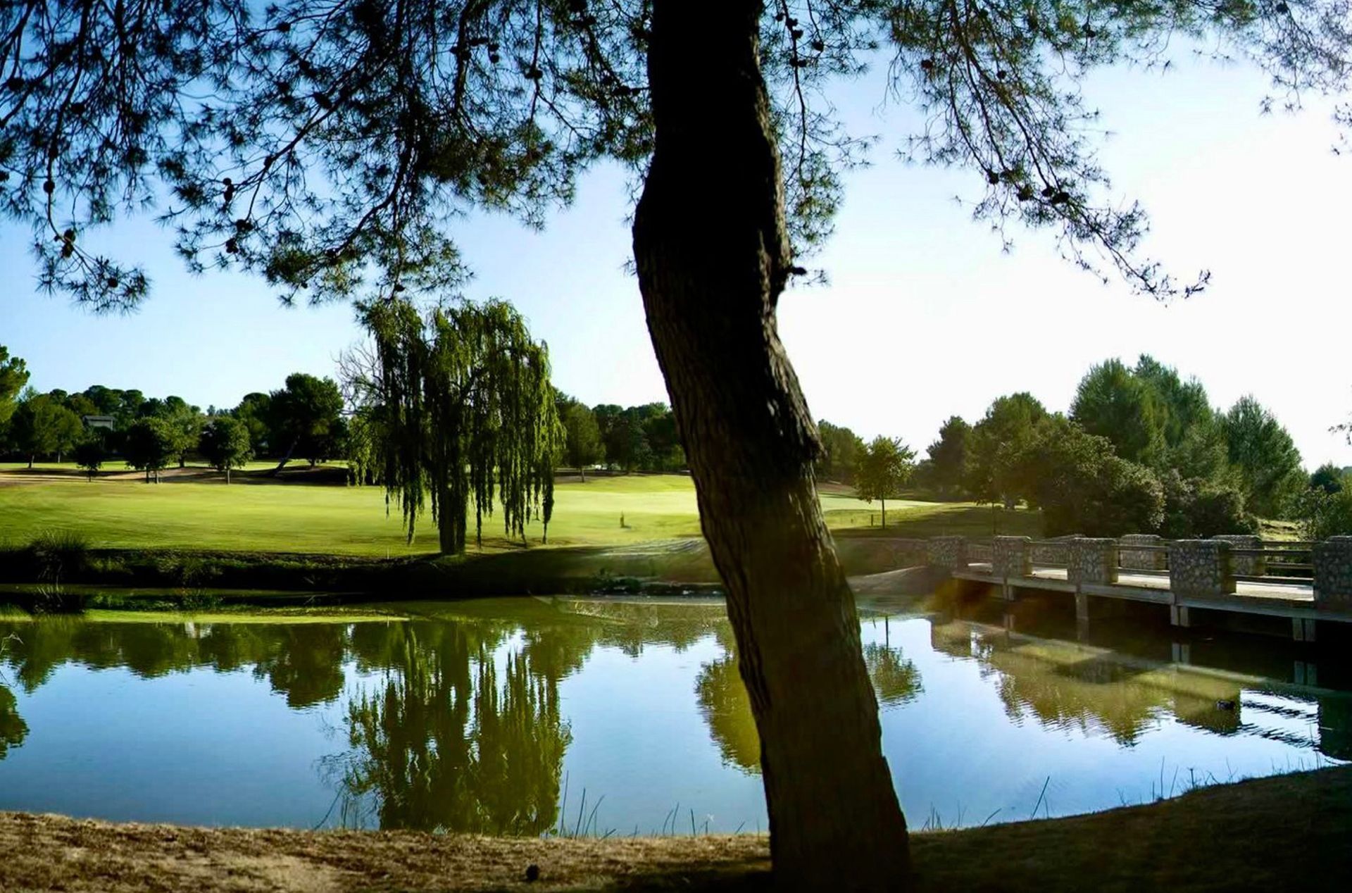 房子 在 El Bosque, Andalusia 12288142