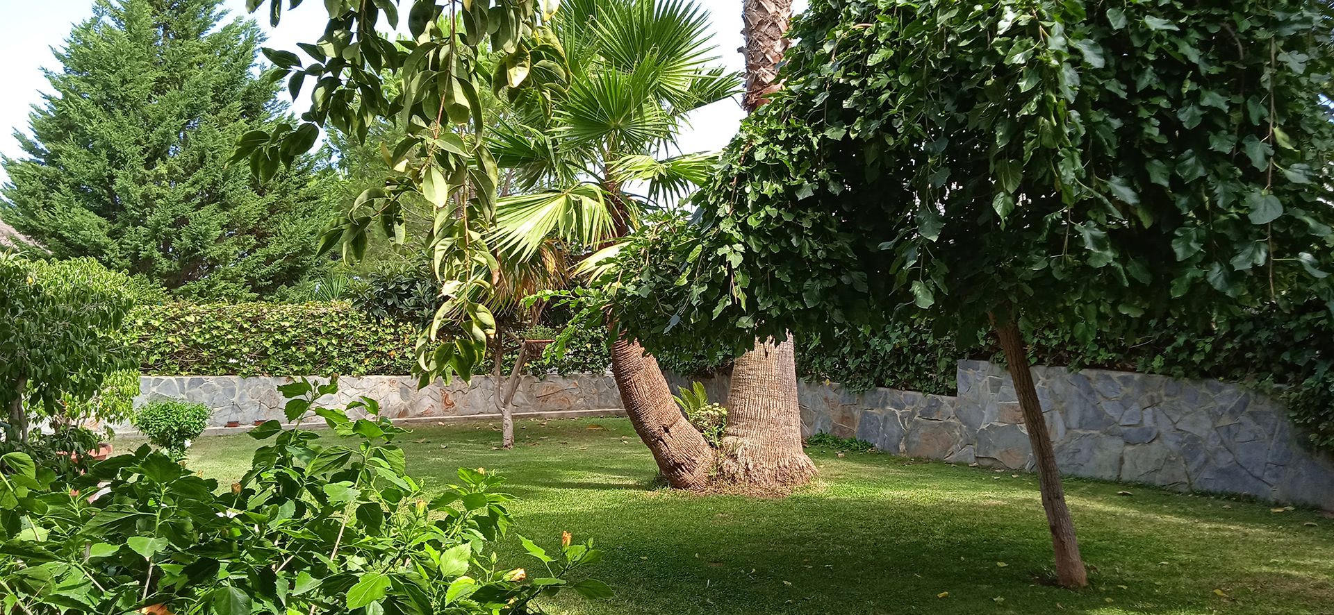 Hus i Benifaió, Comunitat Valenciana 12288144