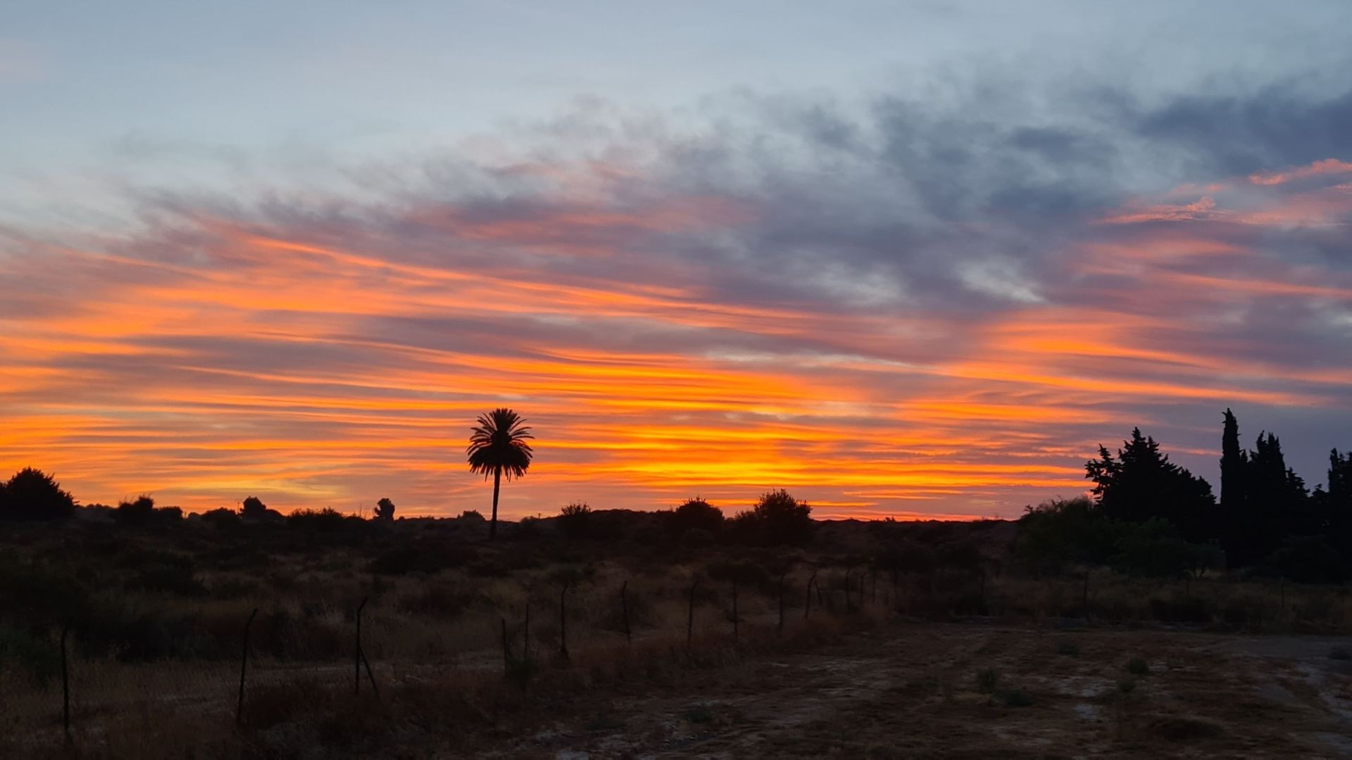 casa no Crevillent, Valencian Community 12288963