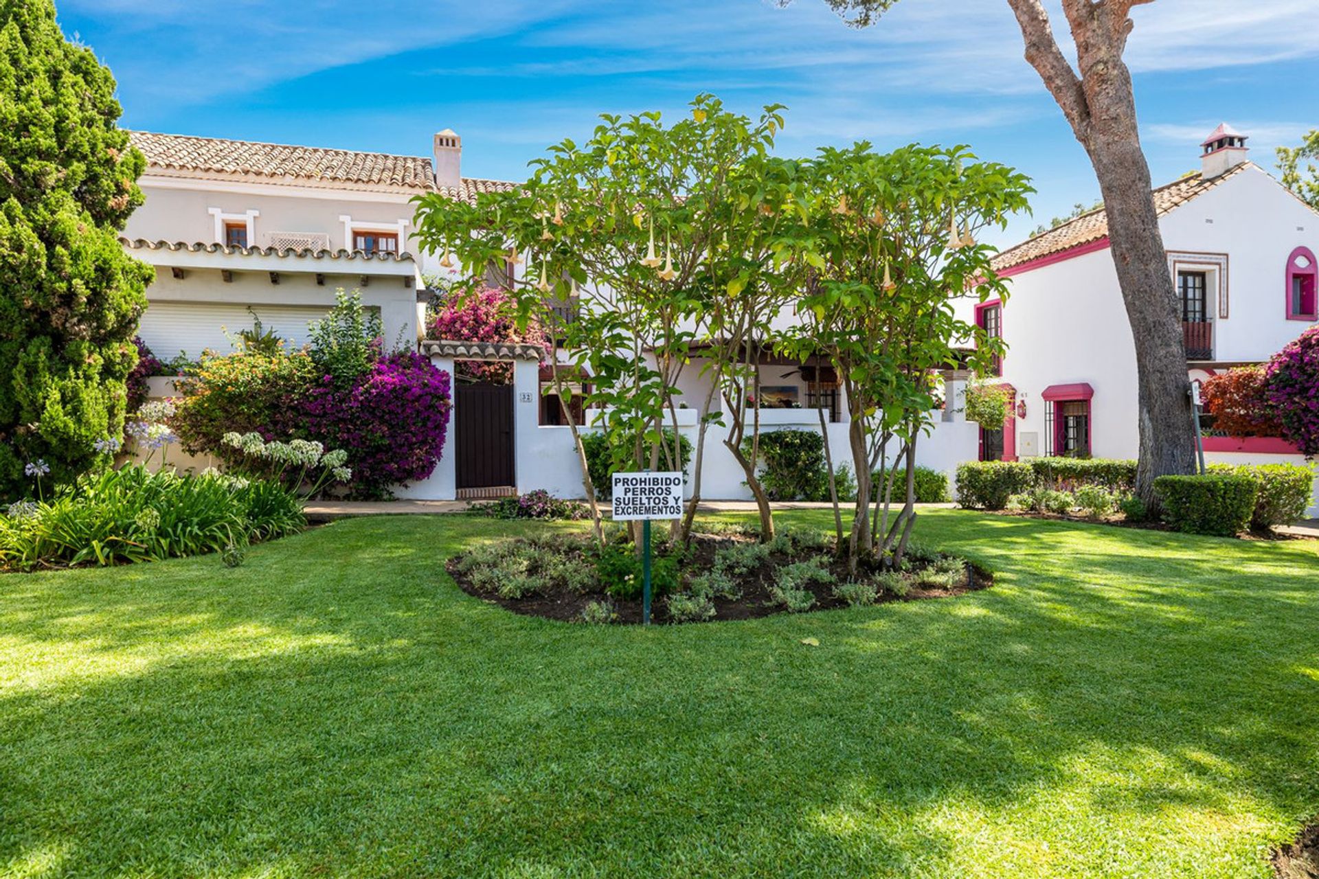 casa no San Pedro Alcántara, Andalucía 12289673