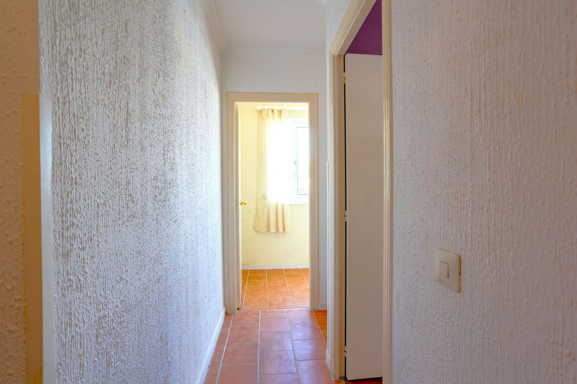 Hus i Torreblanca, Valencian Community 12289760