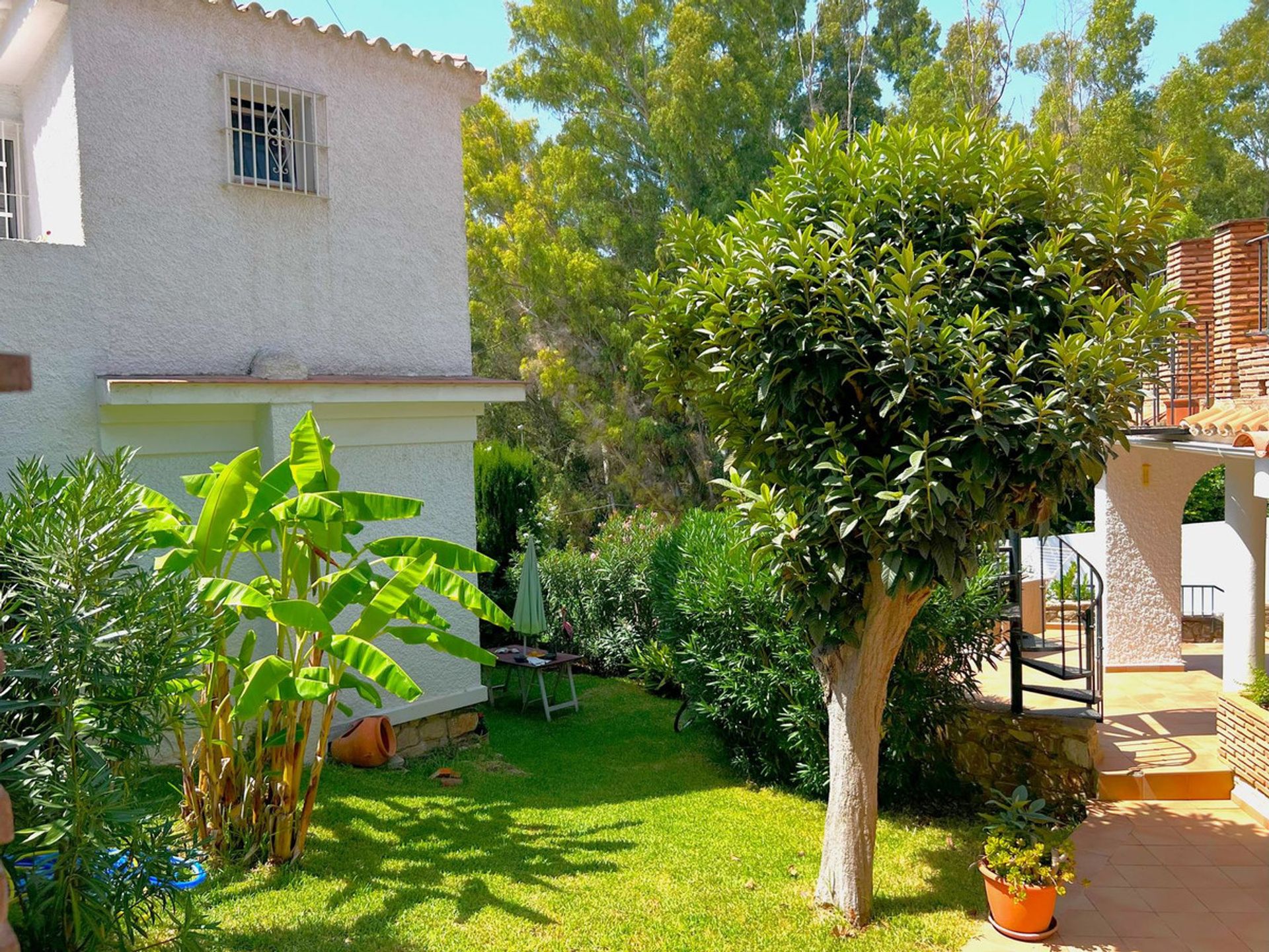 Hus i Torreblanca, Valencian Community 12289760