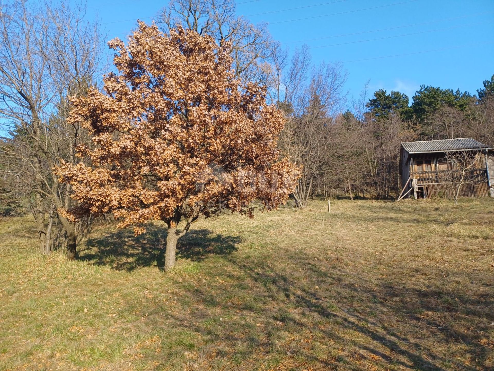 casa en Hreljin, Primorje-Gorski Kotar County 12292093