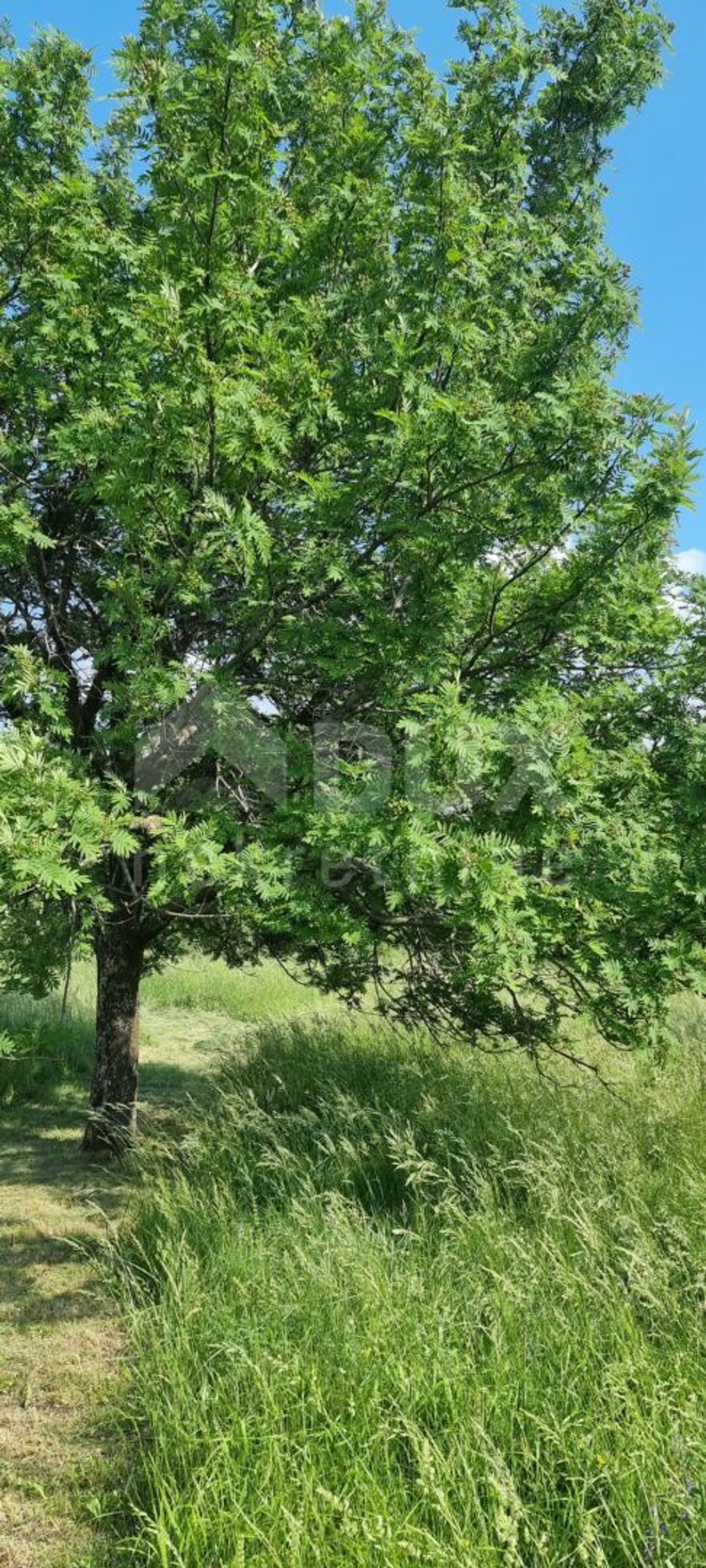 Tierra en Novi Vinodolski, Primorsko-Goranska Županija 12292102