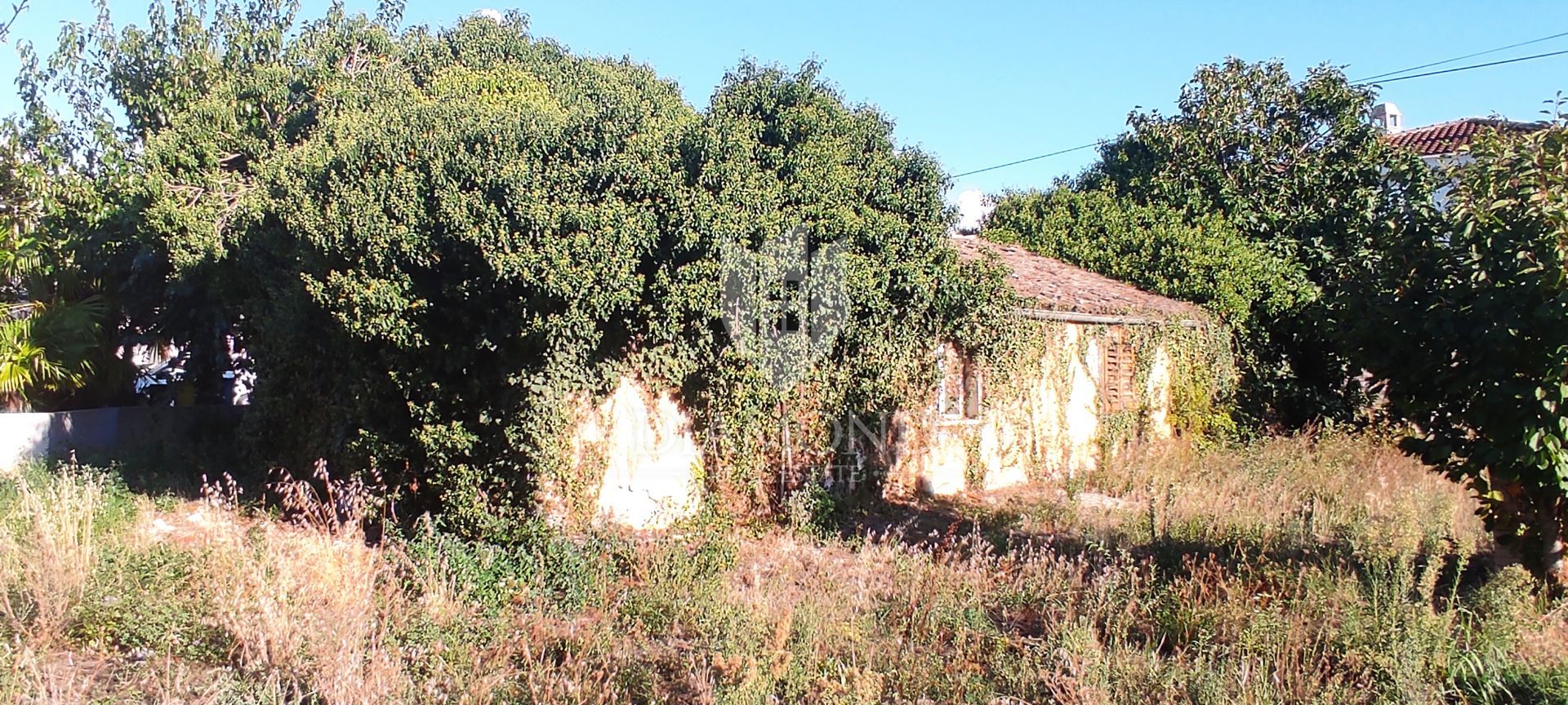 Tanah di Poreč, Istria County 12292235