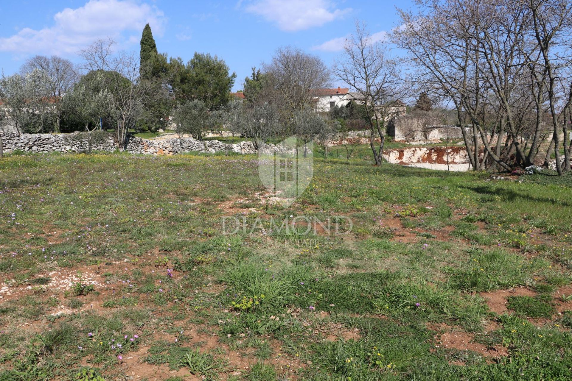 Land in Marcana, Istarska Zupanija 12292239