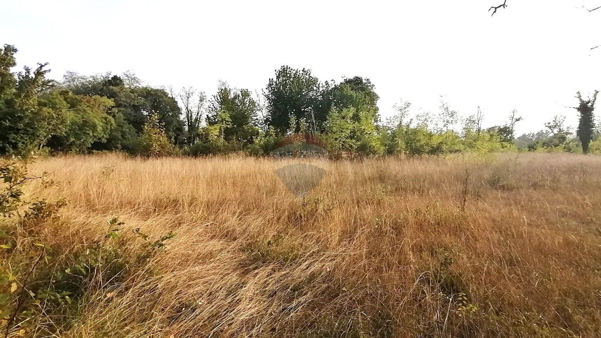 Land i Sveti Lovrec Pazenaticki, Istarska Zupanija 12292619