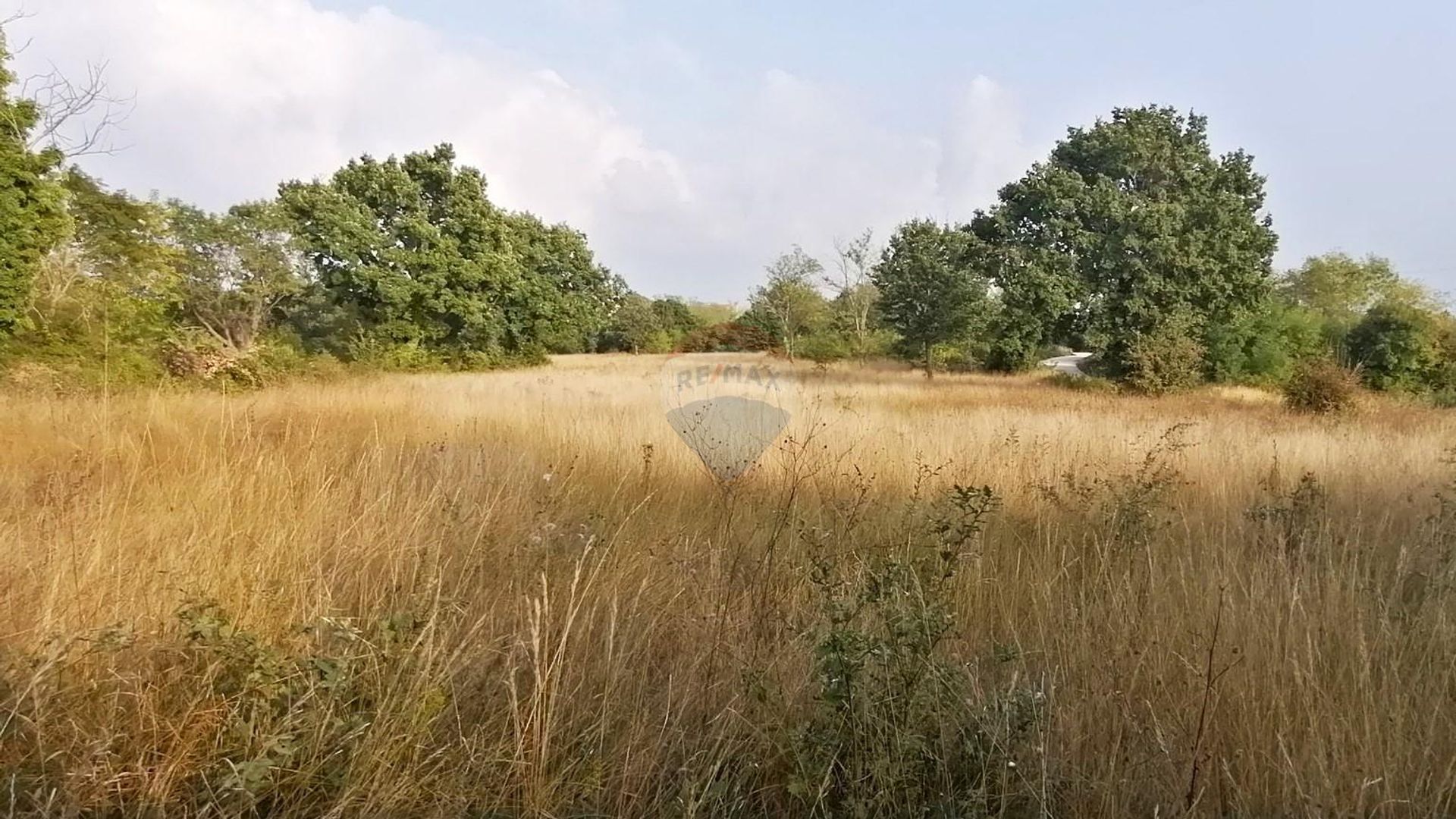 Terra no Sveti Lovrec Pazenaticki, Istarska Zupanija 12292619