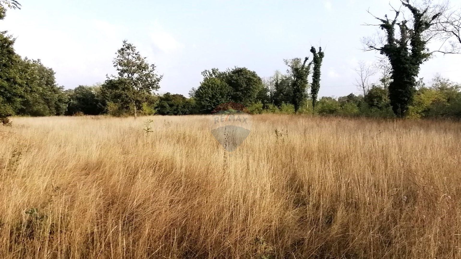 Terra no Sveti Lovrec Pazenaticki, Istarska Zupanija 12292619