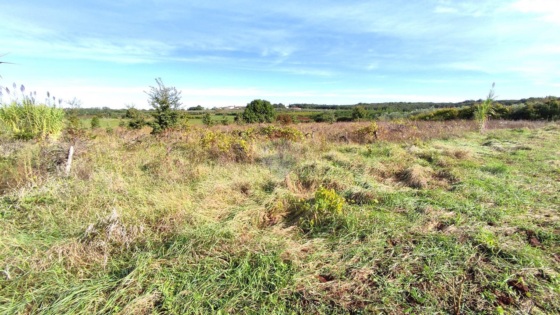 Land in Brtonigla, Istarska Zupanija 12292620