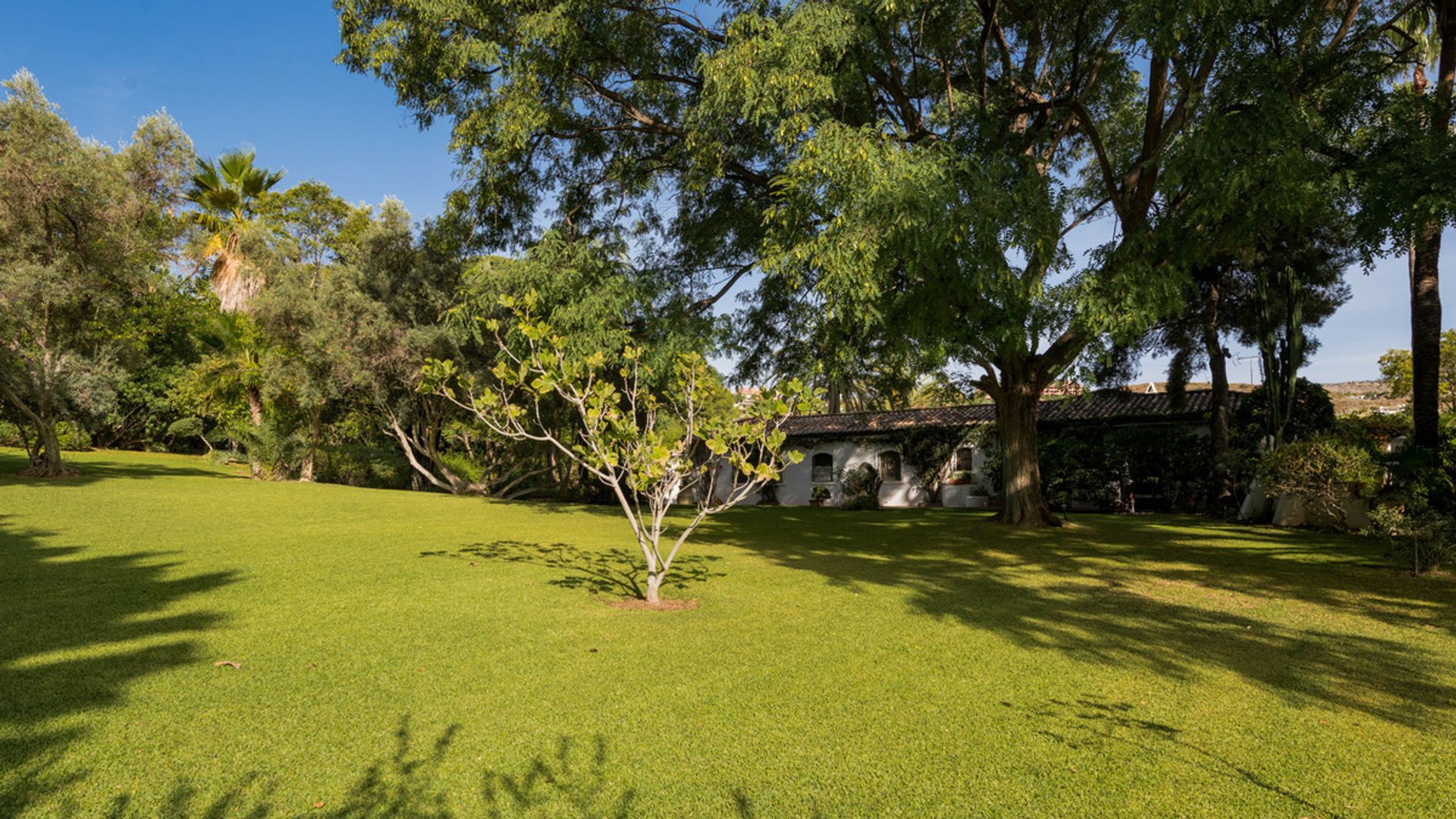 Huis in Benahavís, Andalusia 12293830