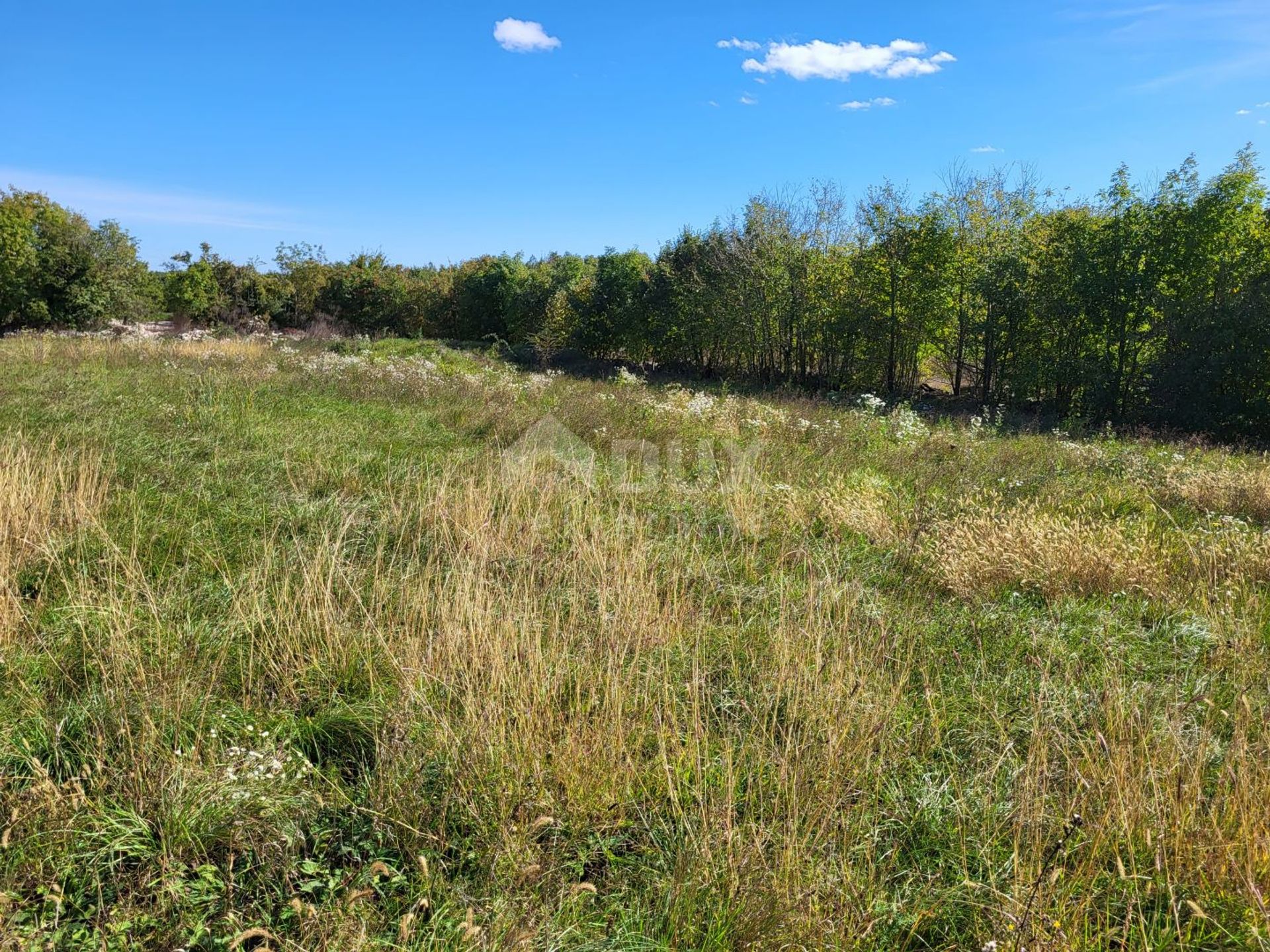 Land in Zminj, Istarska Zupanija 12295431