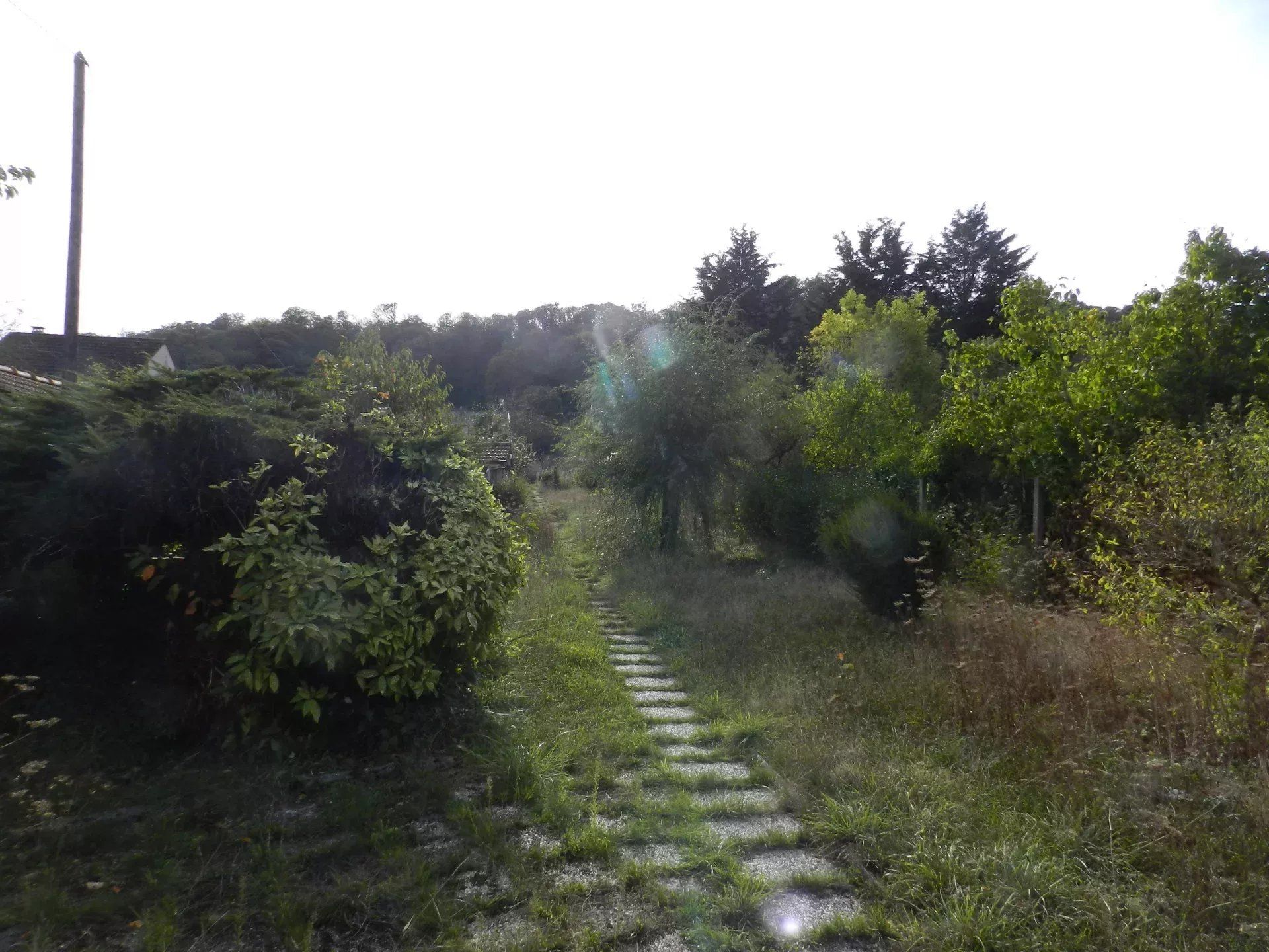 Terra no La Ville-du-Bois, Ile de france 12296729