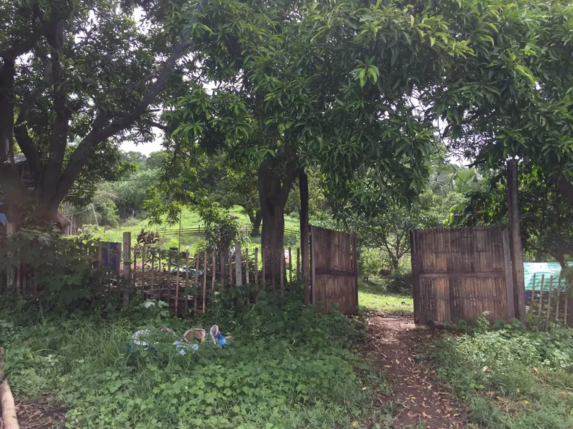 Land in Tuy, Batangas 12296742