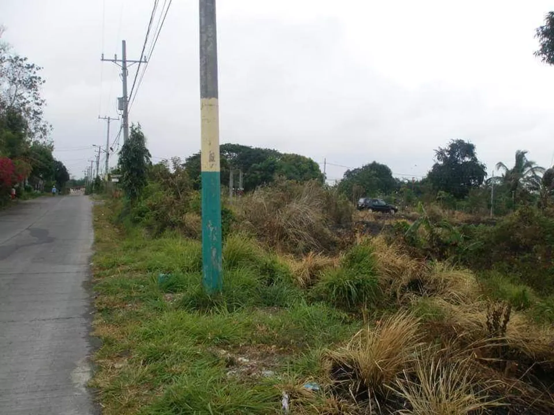 Land in Palapala, Cavite 12296825