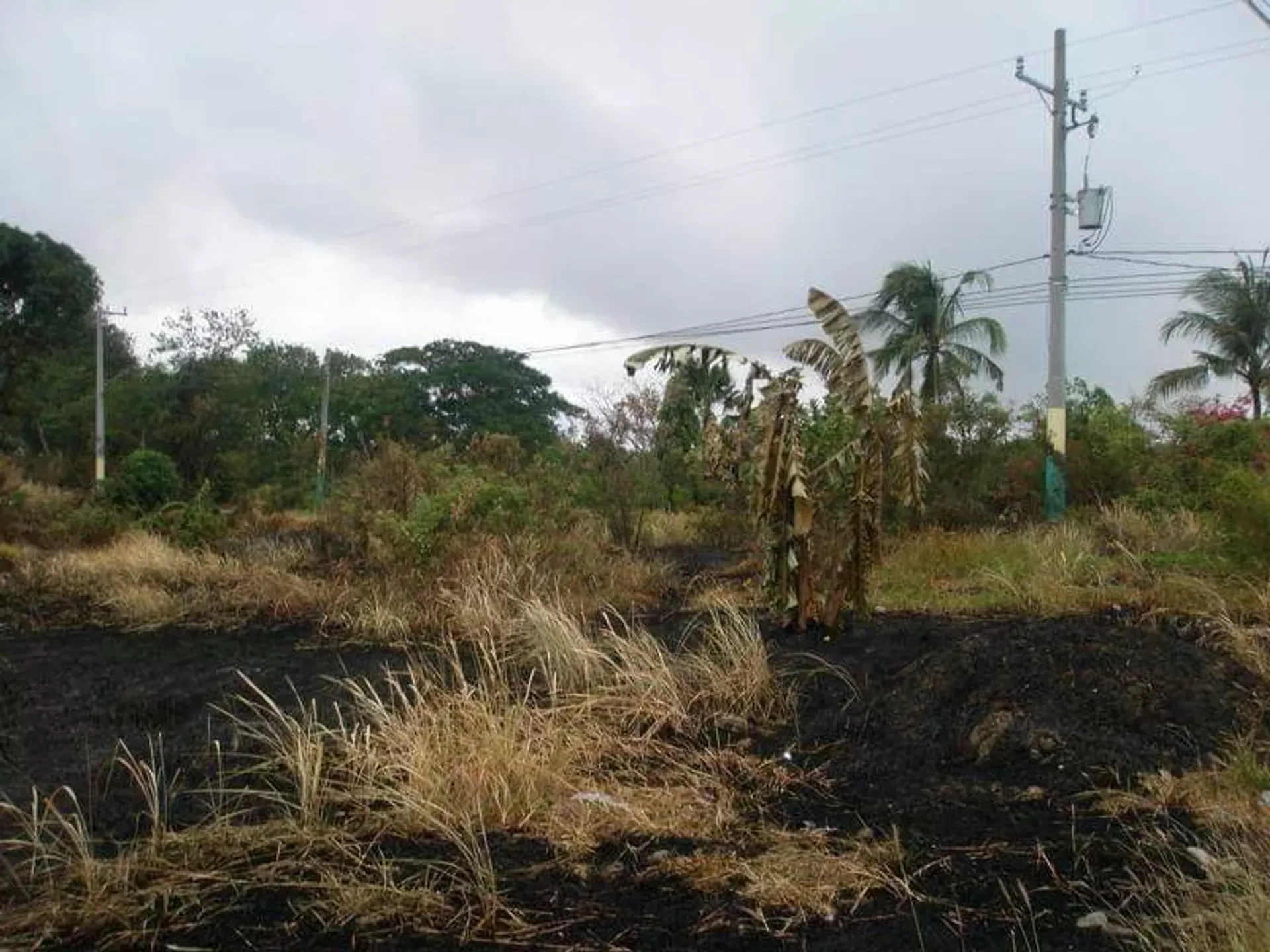 Tanah dalam Palapala, Cavite 12296825