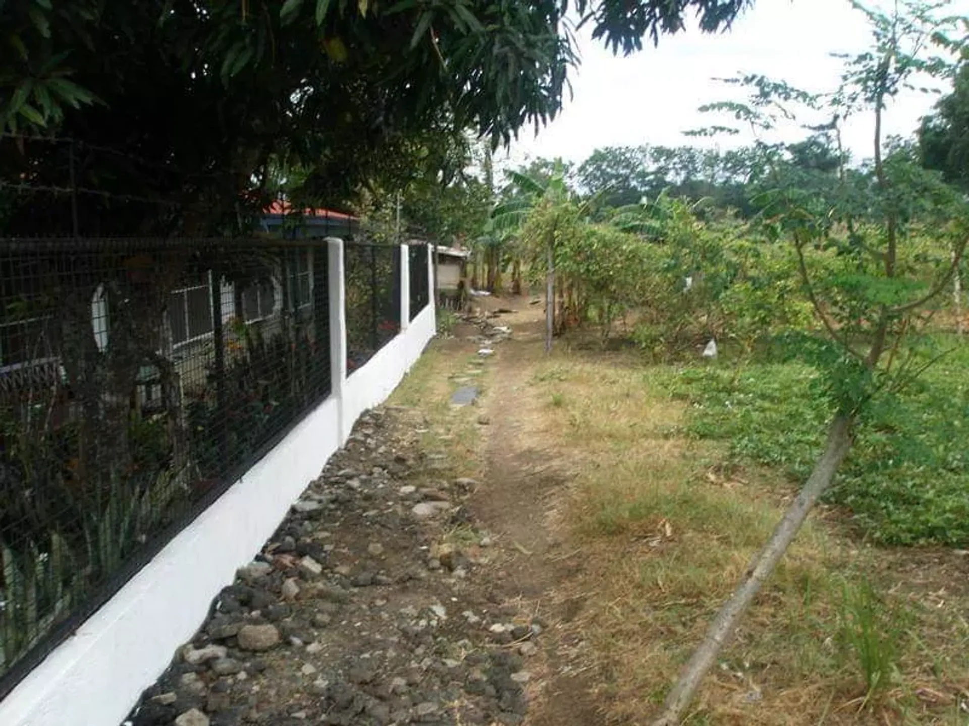 Land im Palapala, Cavite 12296825