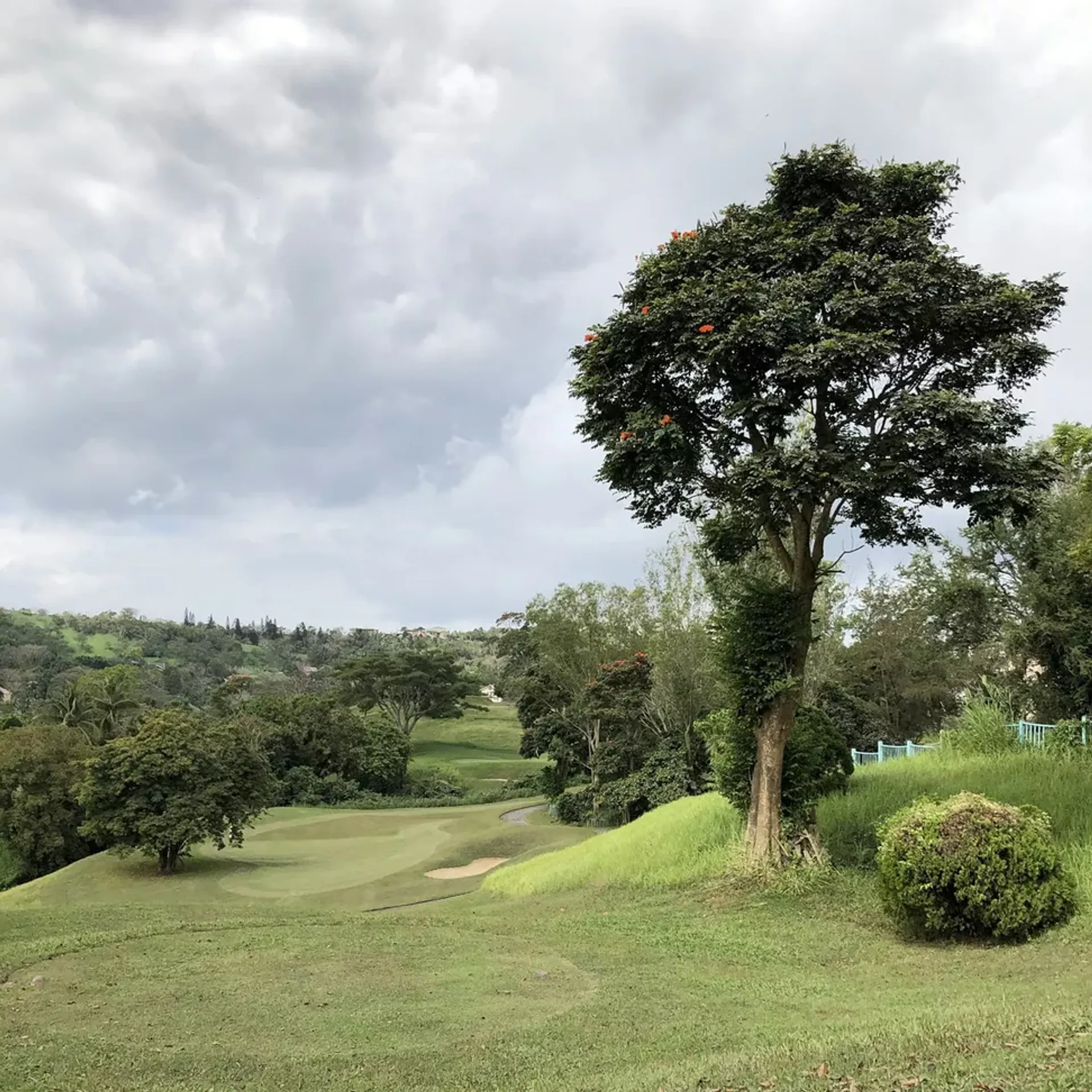 Tanah di Pohon salam, Batangas 12296830