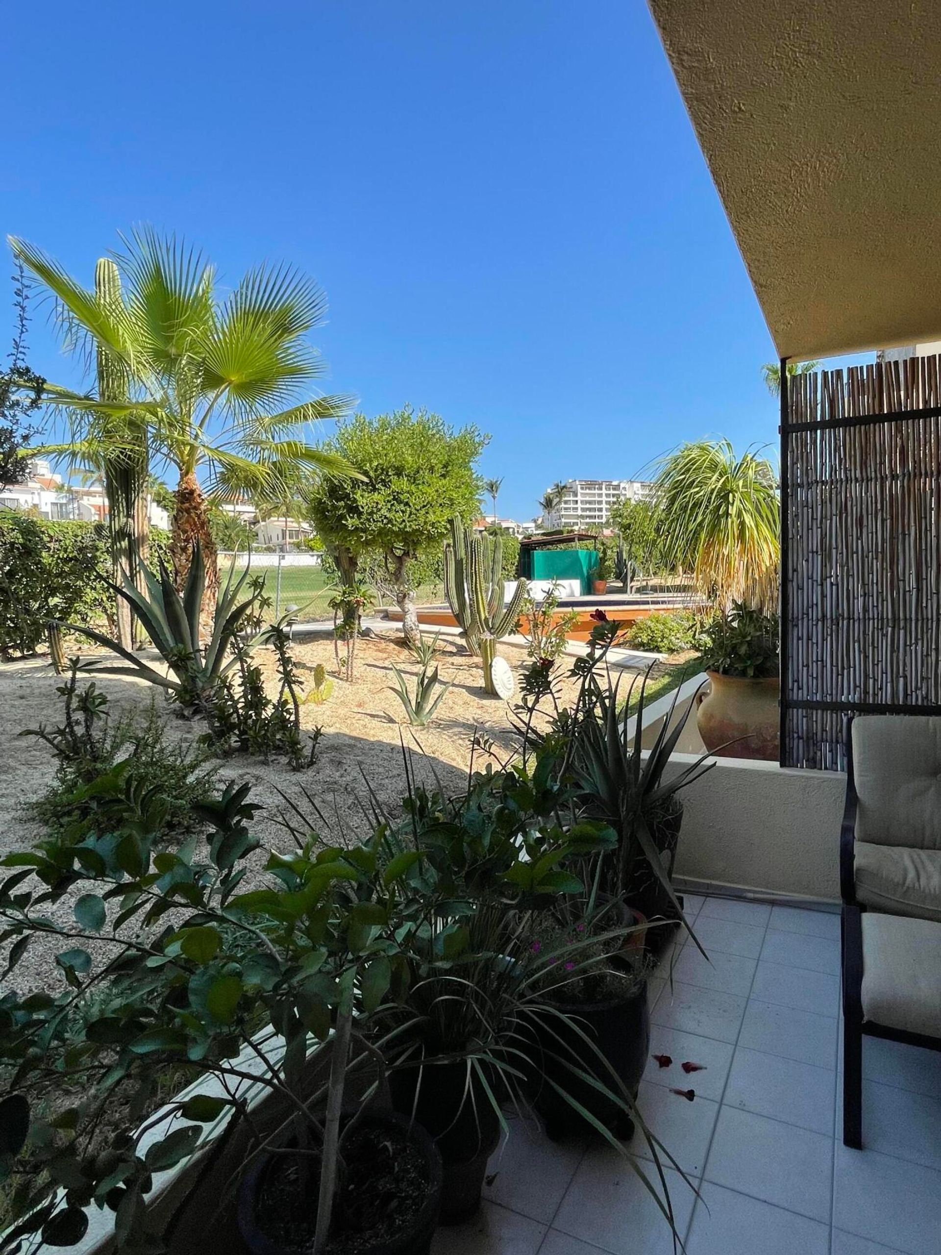 Hus i San Jose del Cabo, Baja California Sur 12296845