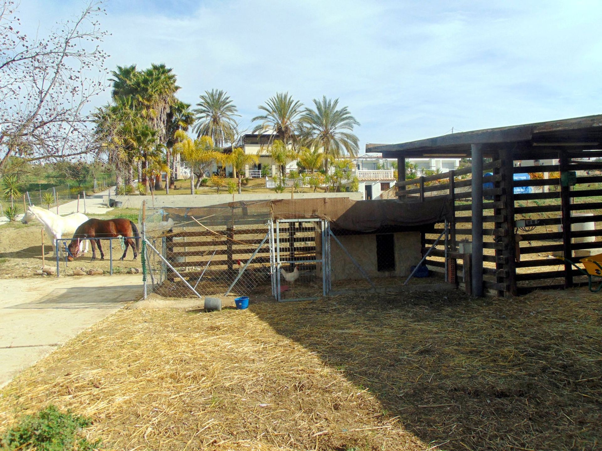 Rumah di Coín, Andalusia 12299206