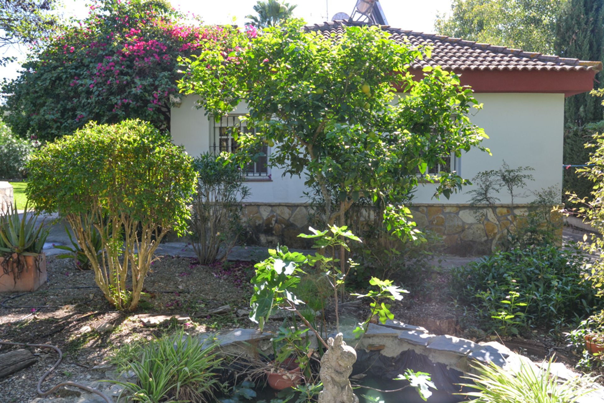 Rumah di Chiclana de la Frontera, Andalucía 12299559