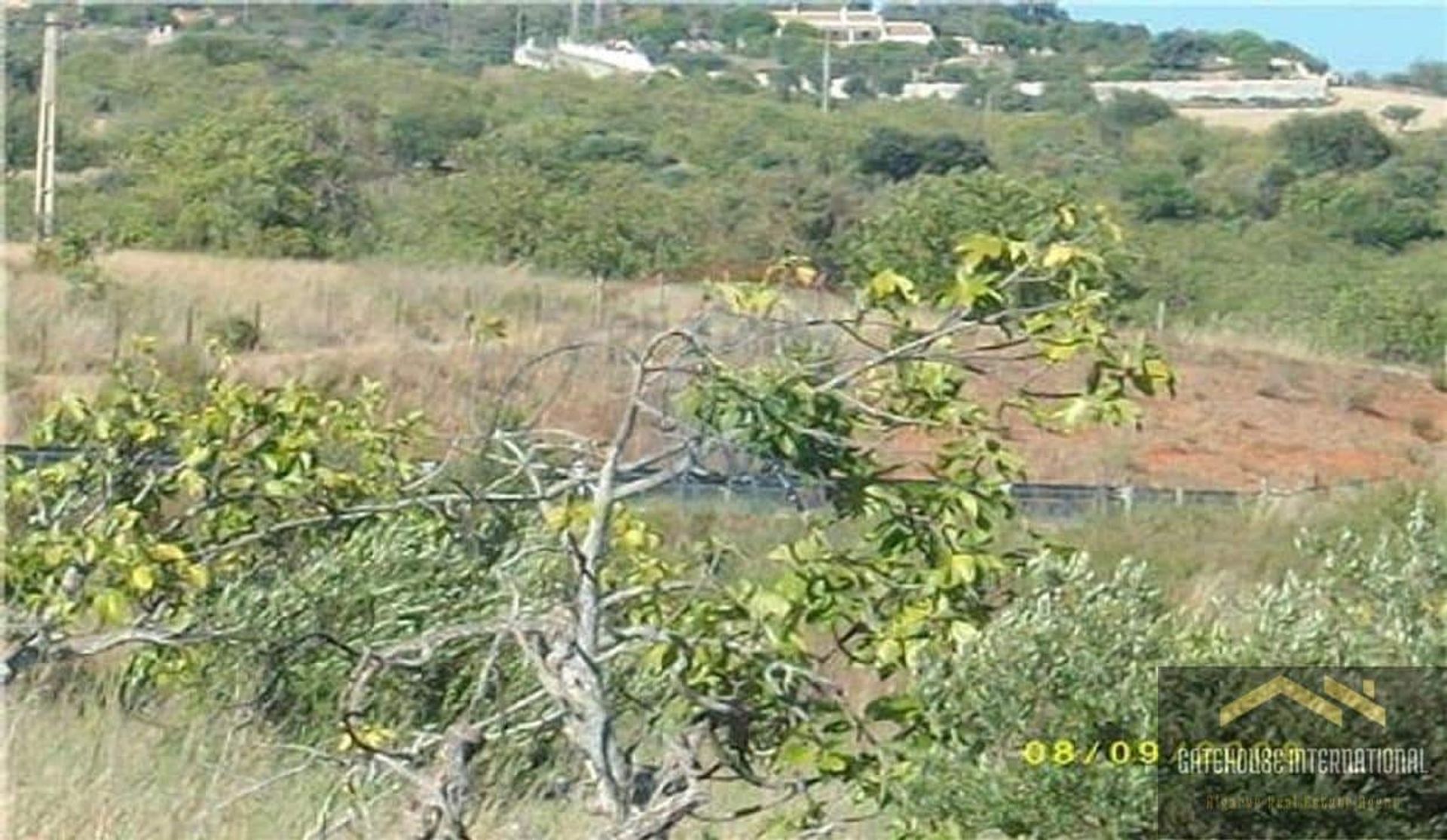 Land in Loulé, Faro 12299803