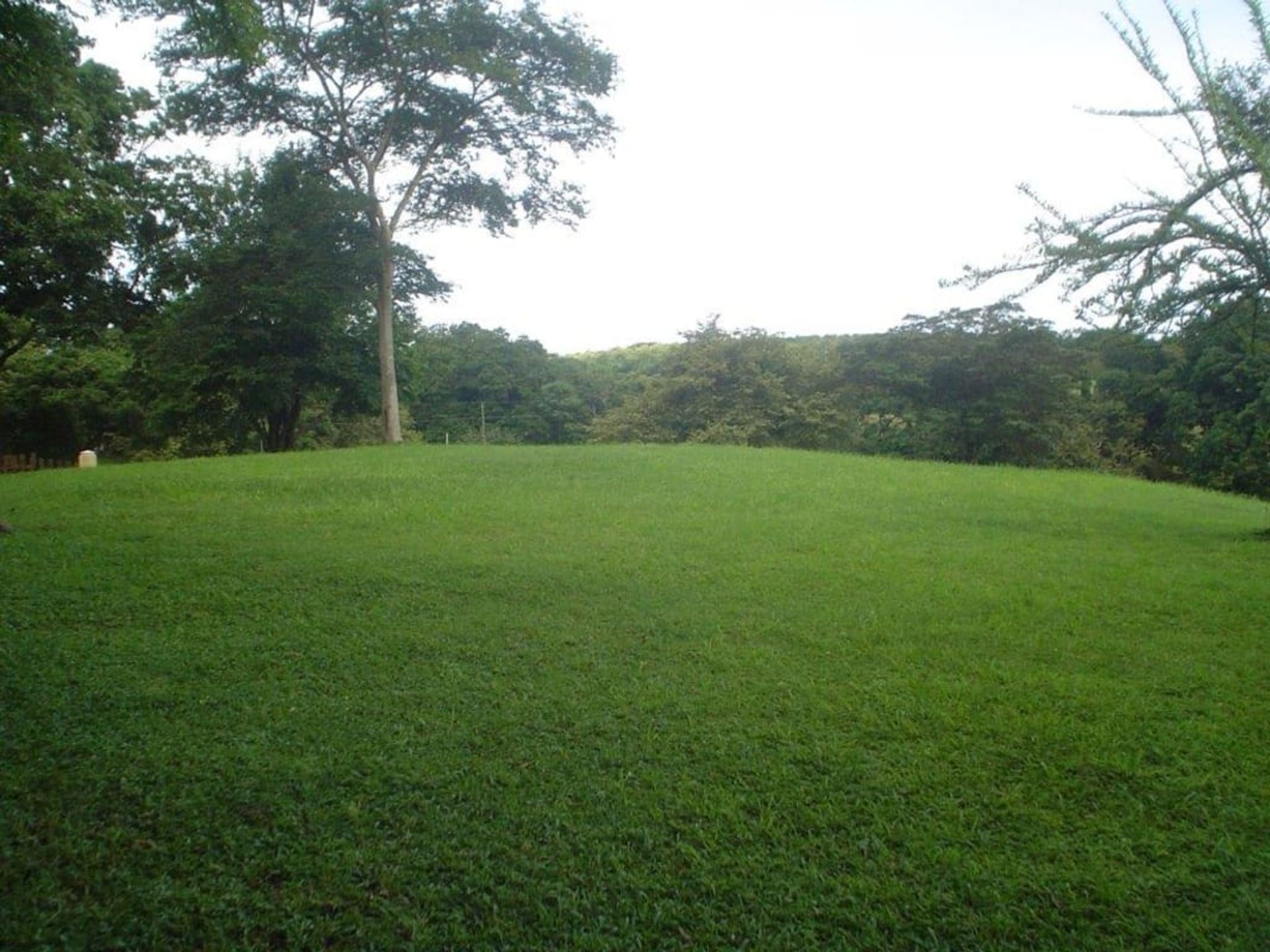 土地 在 Las Lajas, Chiriquí Province 12300652