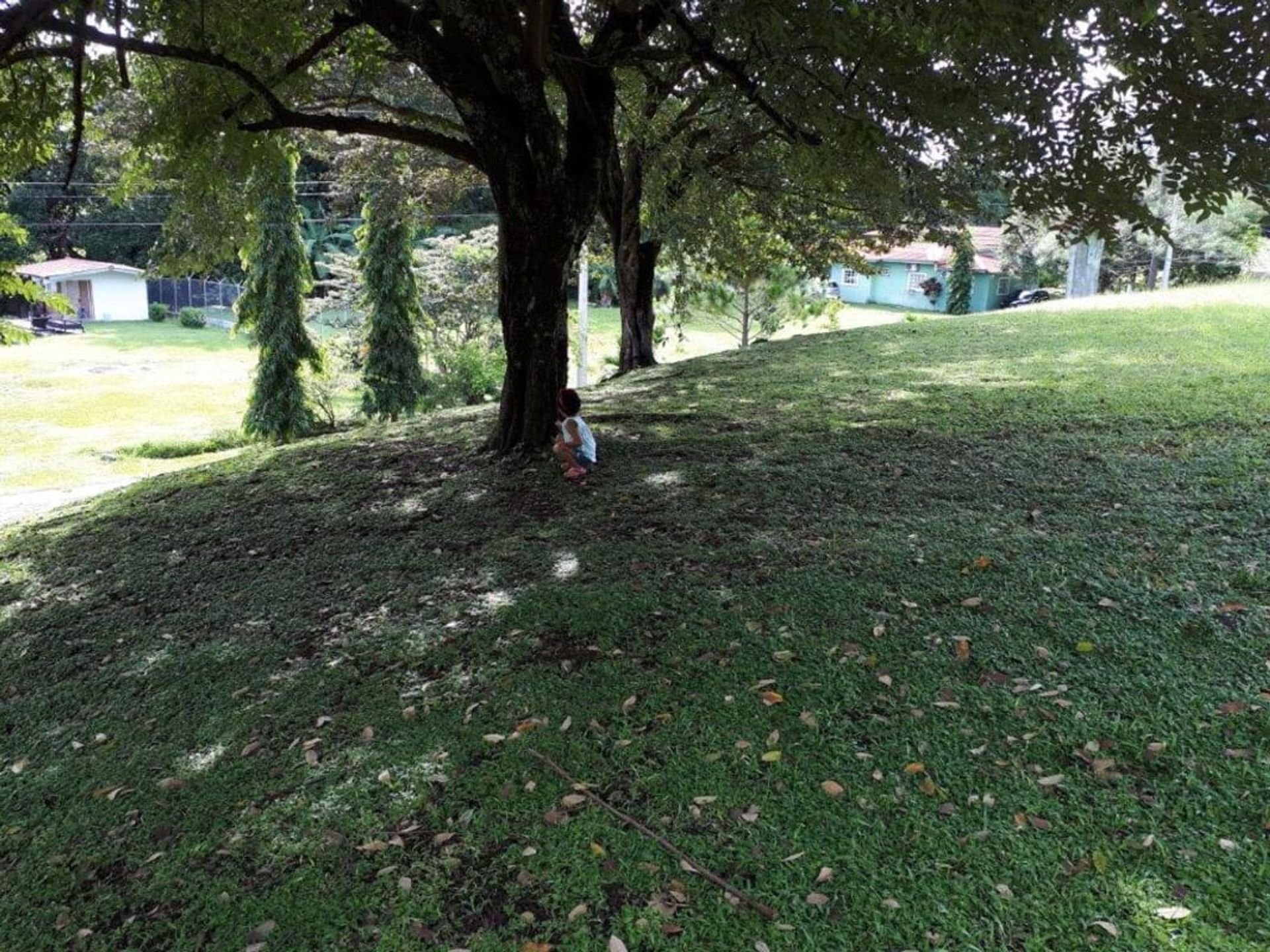 Land in Las Lajas, Chiriquí Province 12300652