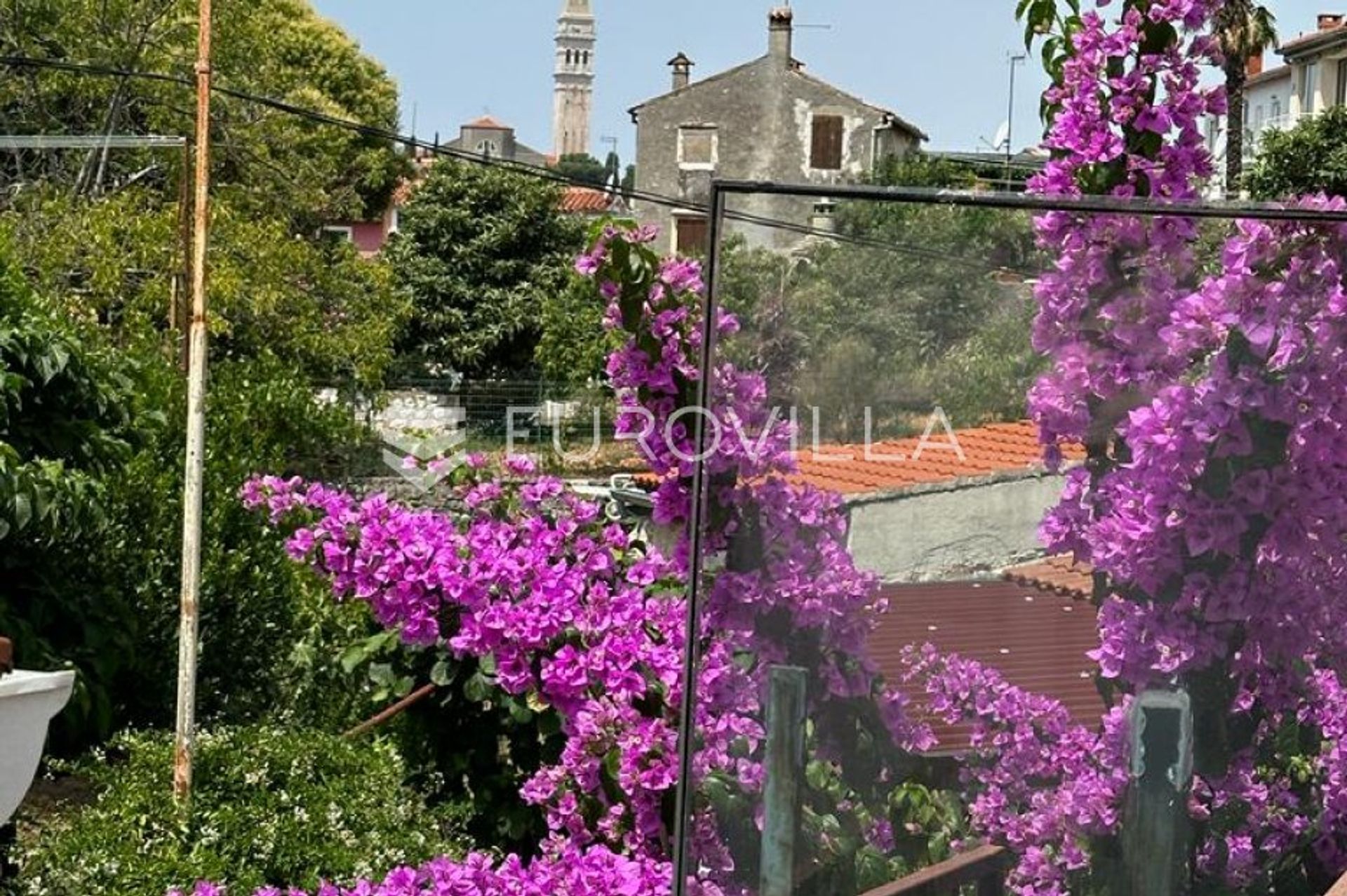 Hus i Rovinj, Istarska županija 12300797