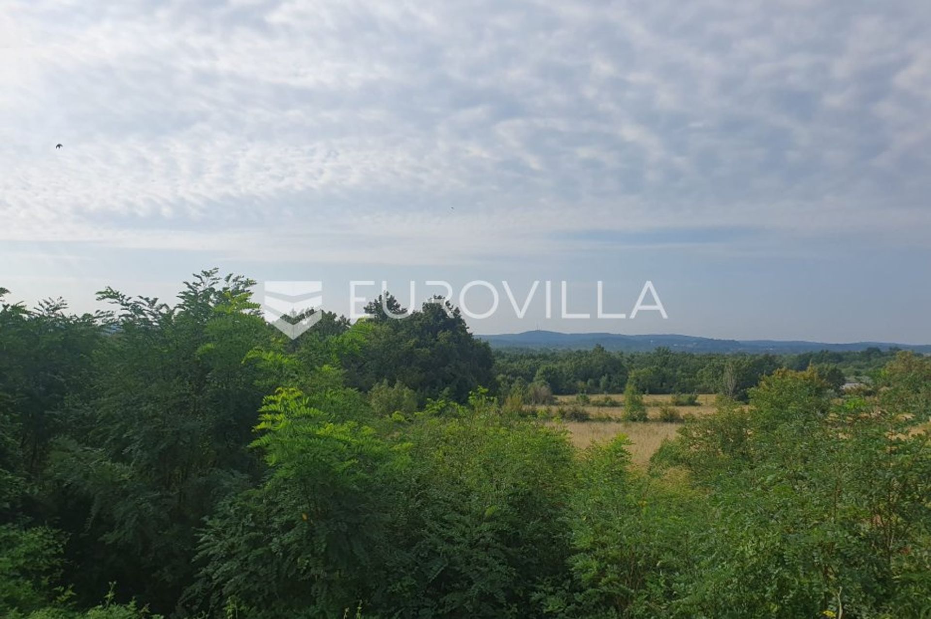 Terra no Sveti Lovreč, Istarska županija 12300810