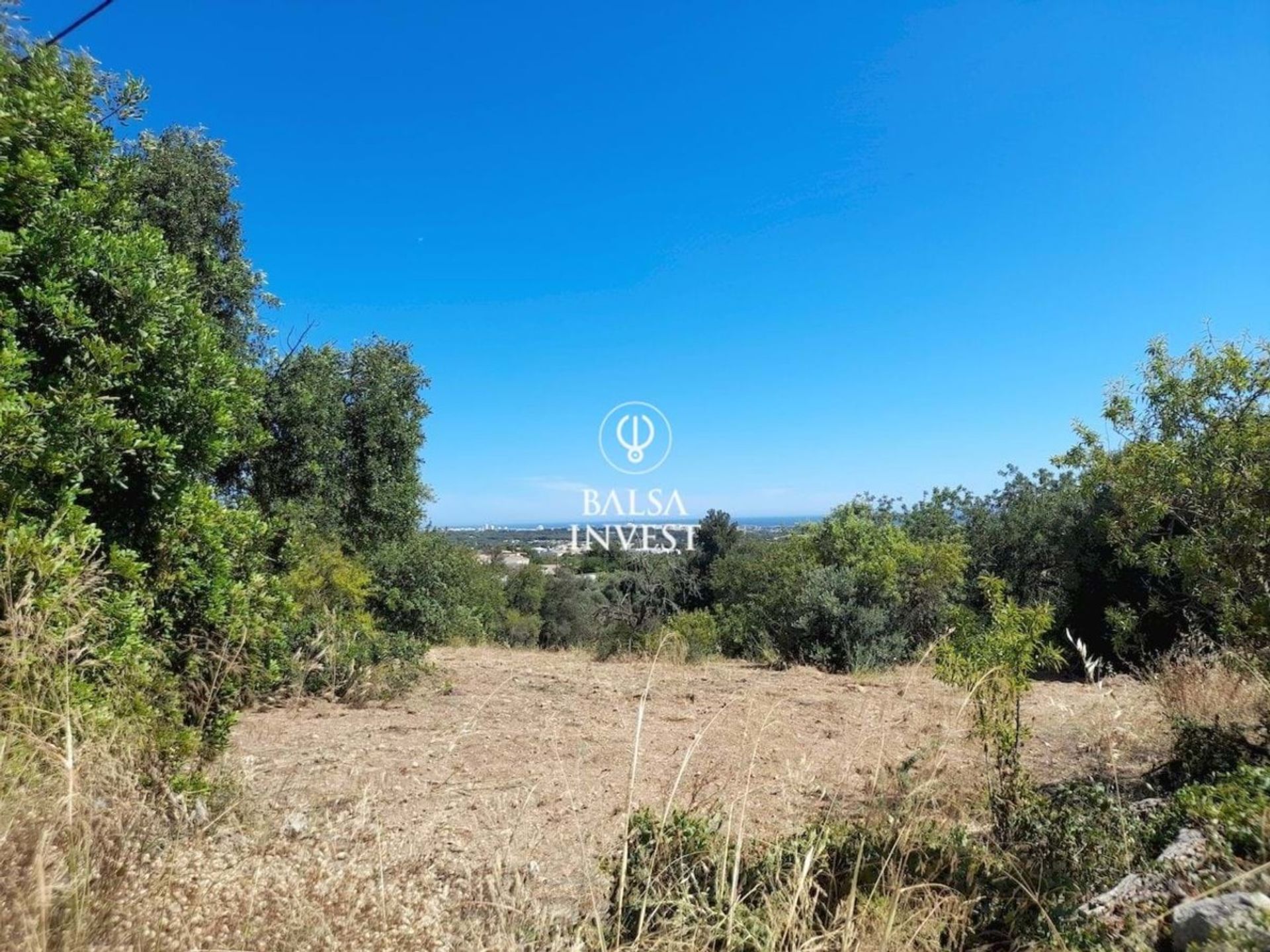 Land in Boliqueime, Faro 12301384