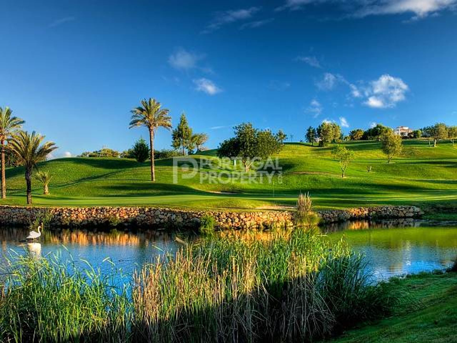 Land i Silves, Faro 12301991