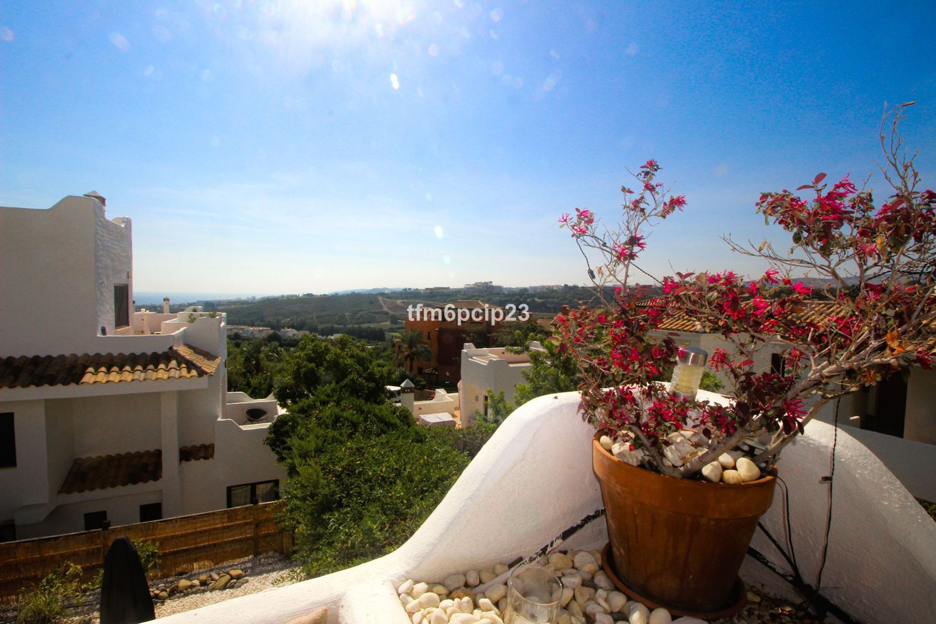 सम्मिलित में Puerto de la Duquesa, Andalusia 12302080