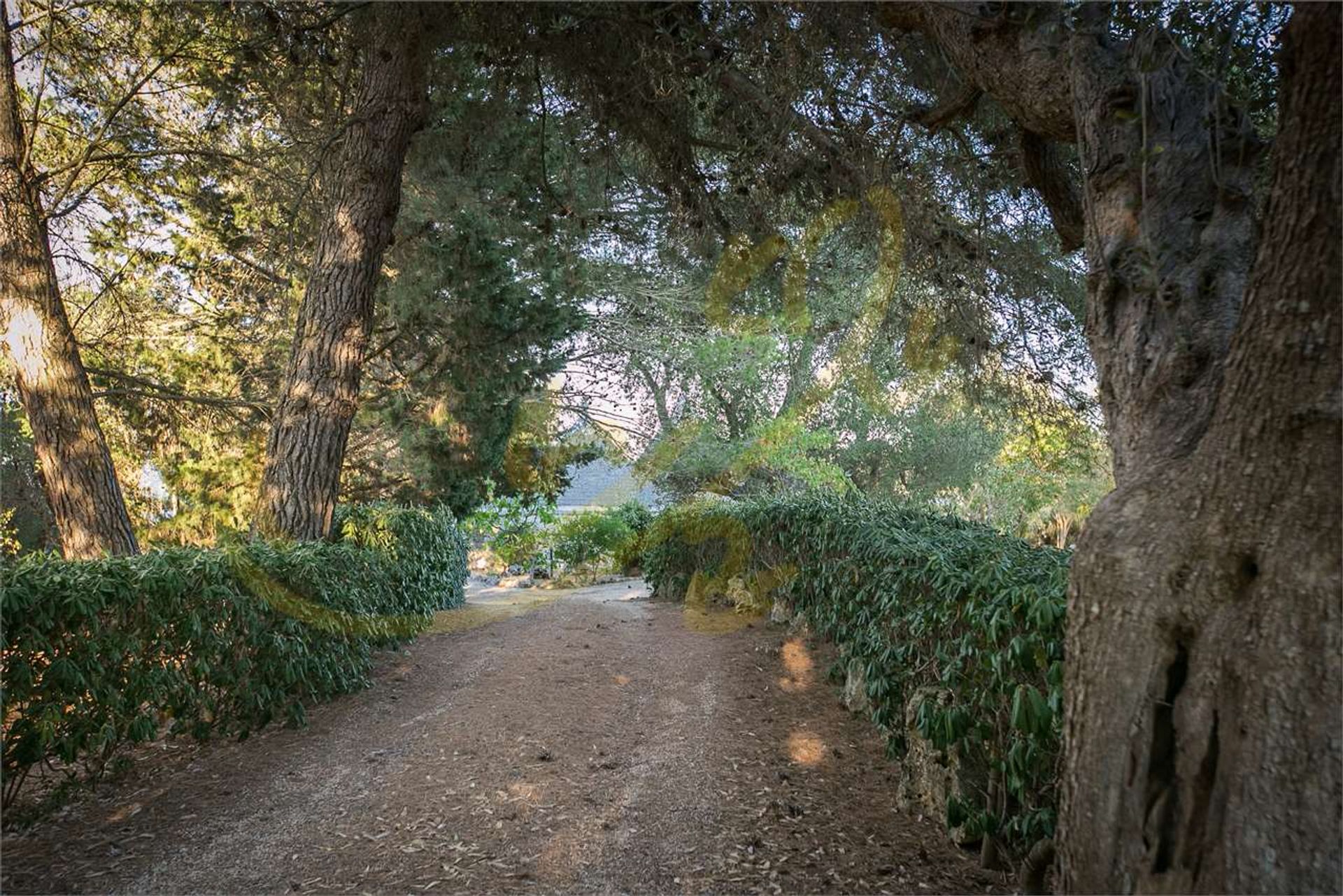 Casa nel Ceglie Messapica, Apulia 12302596