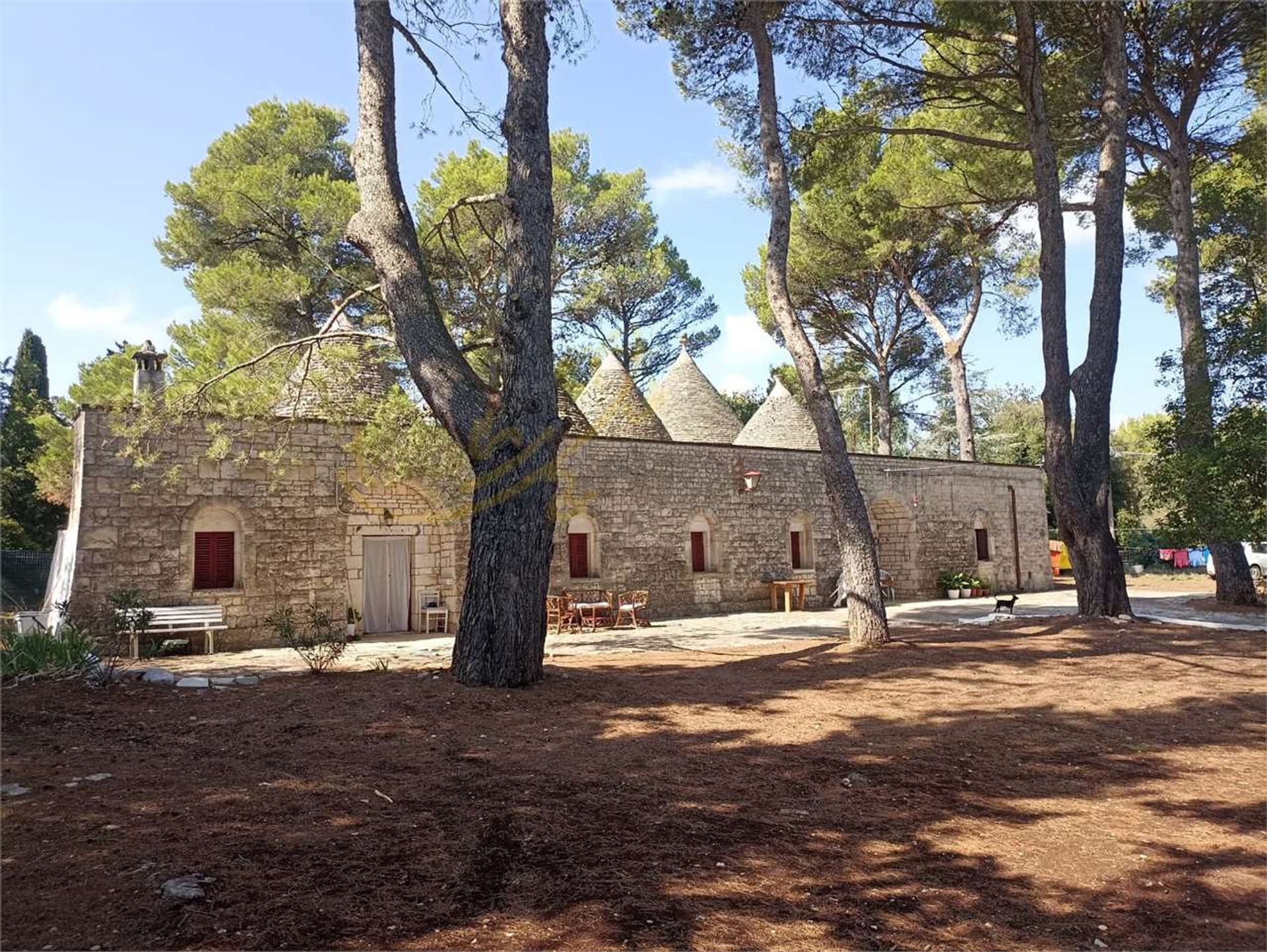 Land in Fasano, Puglia 12302599