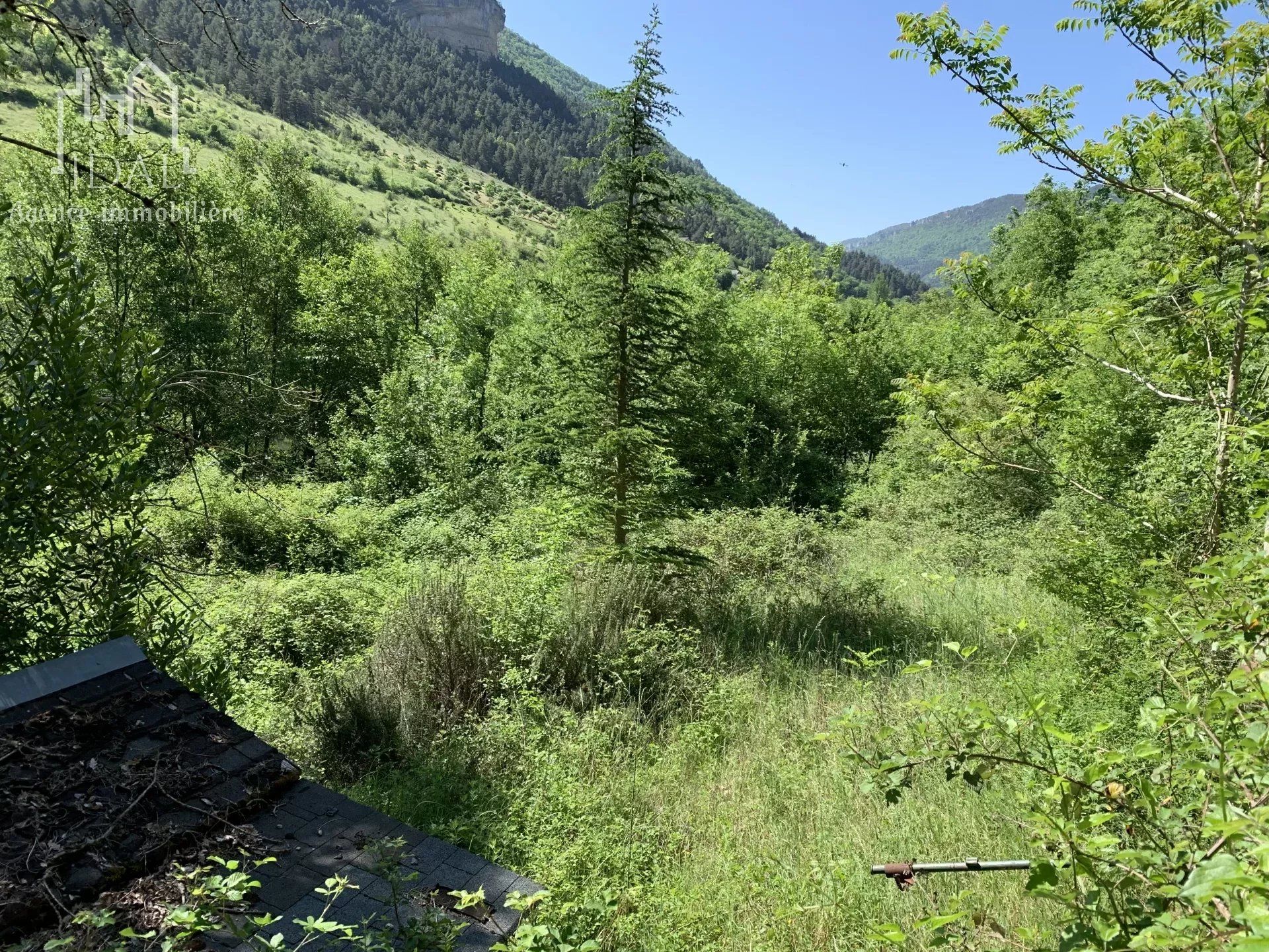 Andet i Massegros Causses Gorges, Lozère 12303006