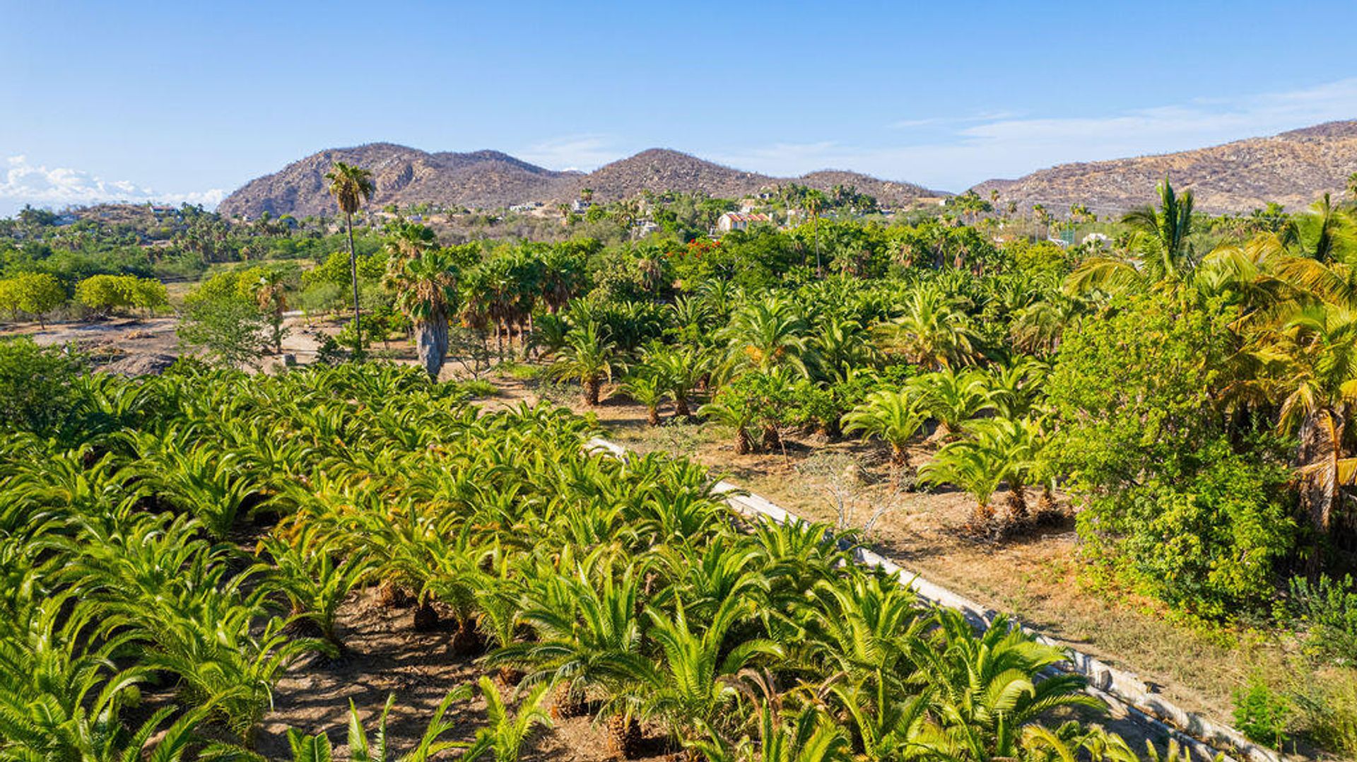 Sbarcare nel San José del Cabo, Baja California Sur 12303242