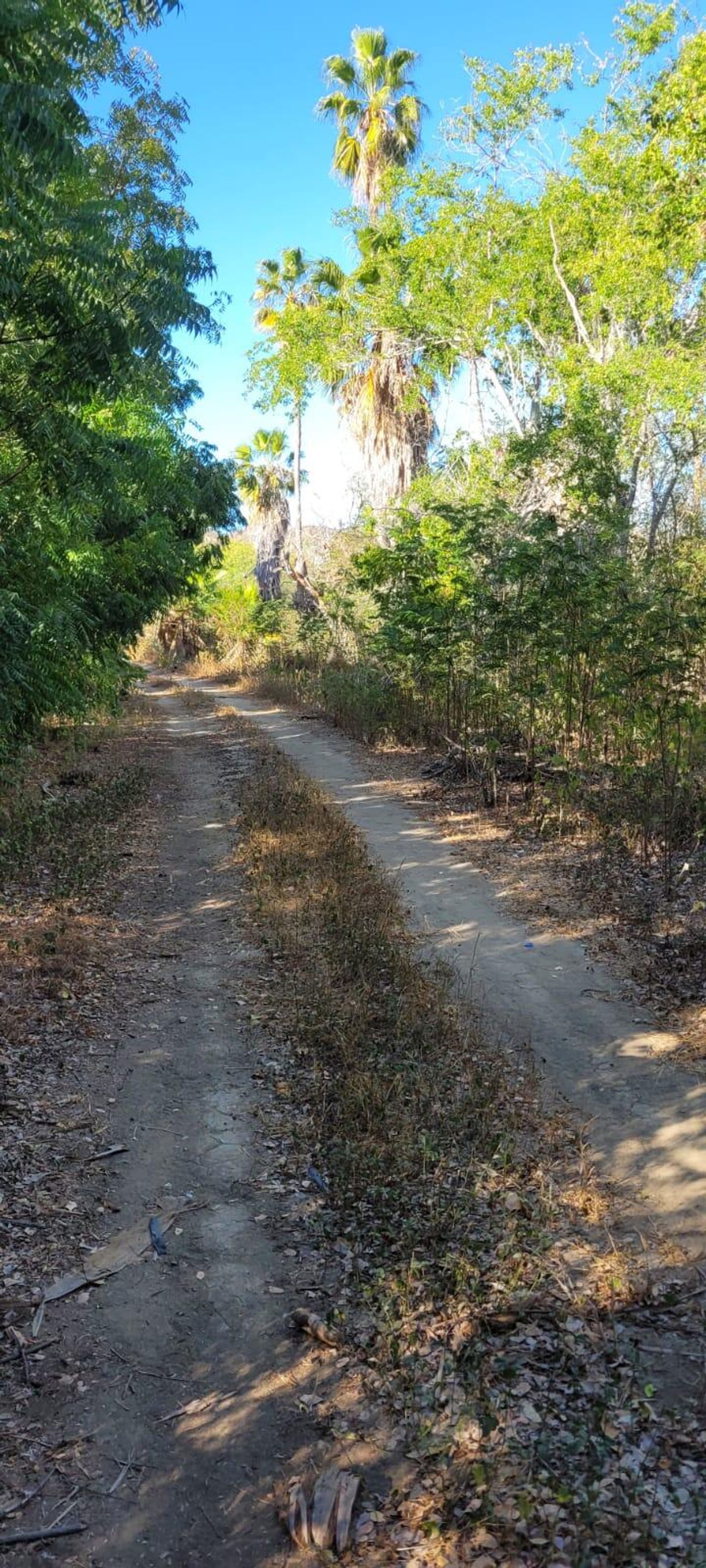 Tanah dalam San Jose del Cabo, Baja California Sur 12303242