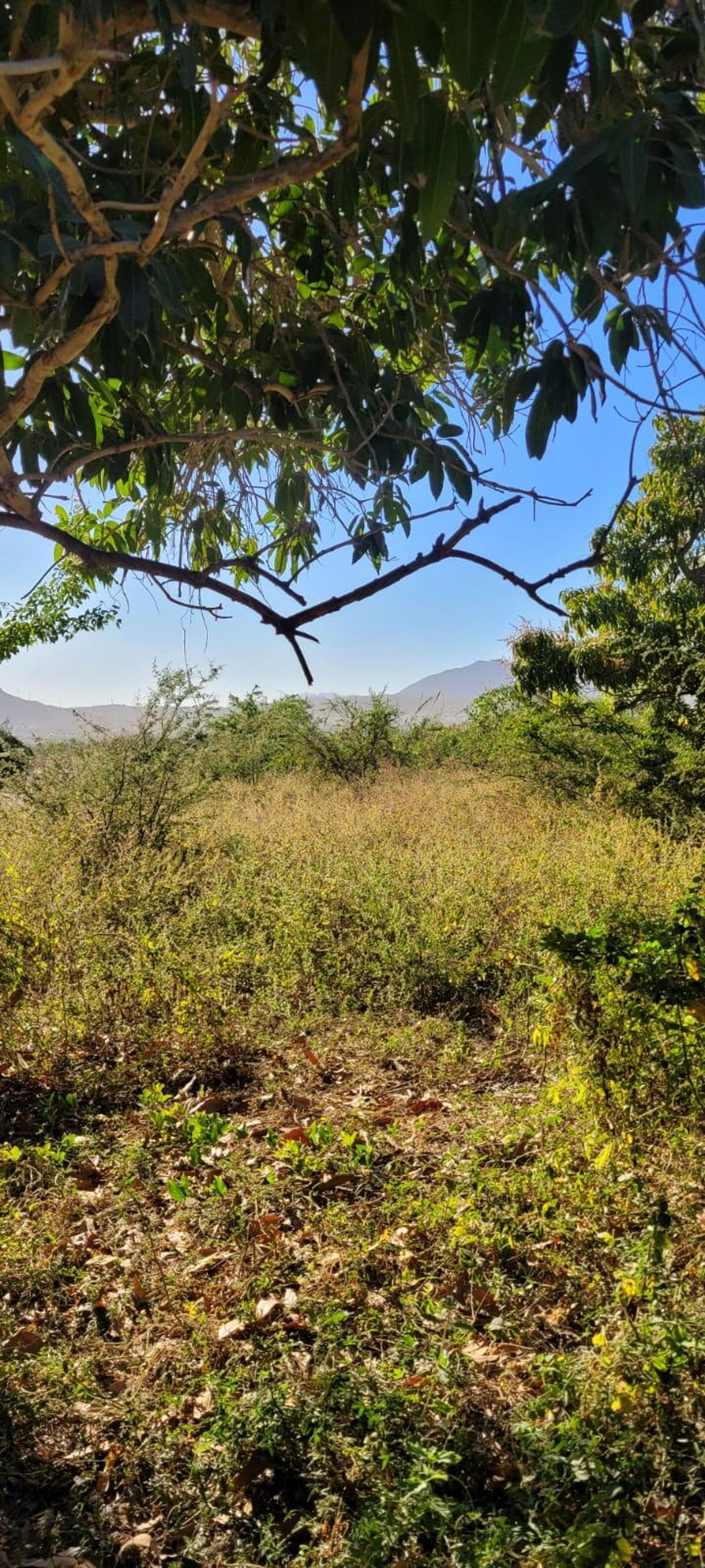 Tanah di San Jose del Cabo, Baja California Sur 12303242